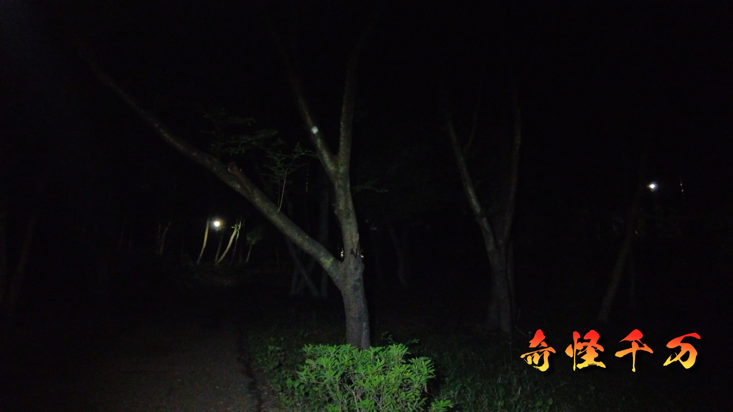 増尾城址 現地写真 11