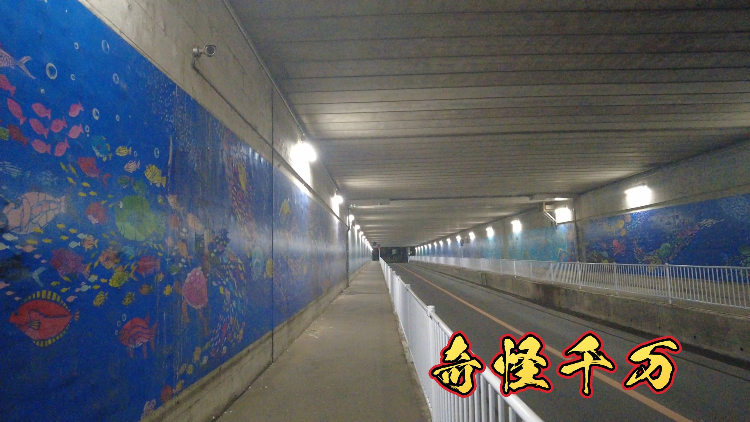 第二梶ヶ谷架道橋(梶ヶ谷トンネル)の現地写真 SnapShot(144).jpg
