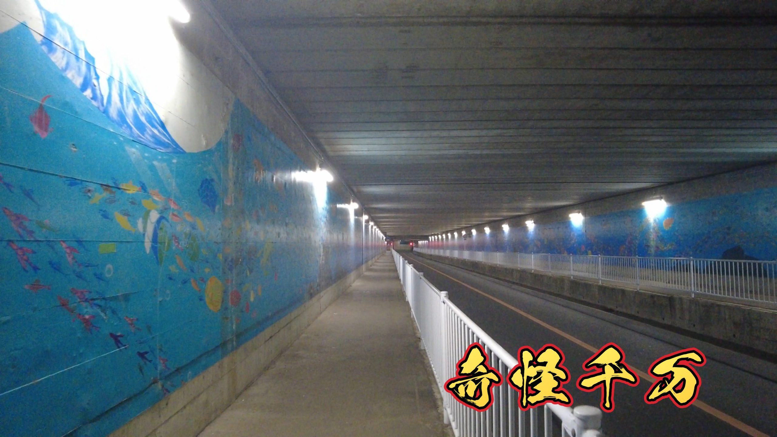 第二梶ヶ谷架道橋(梶ヶ谷トンネル)の現地写真 SnapShot(152).jpg