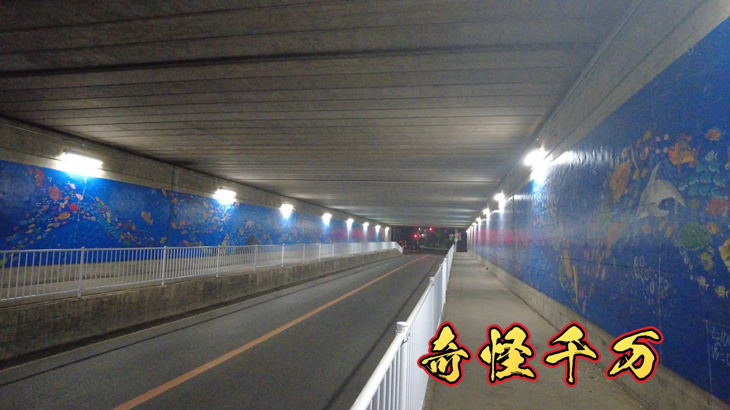 第二梶ヶ谷架道橋(梶ヶ谷トンネル)の現地写真 SnapShot(154).jpg