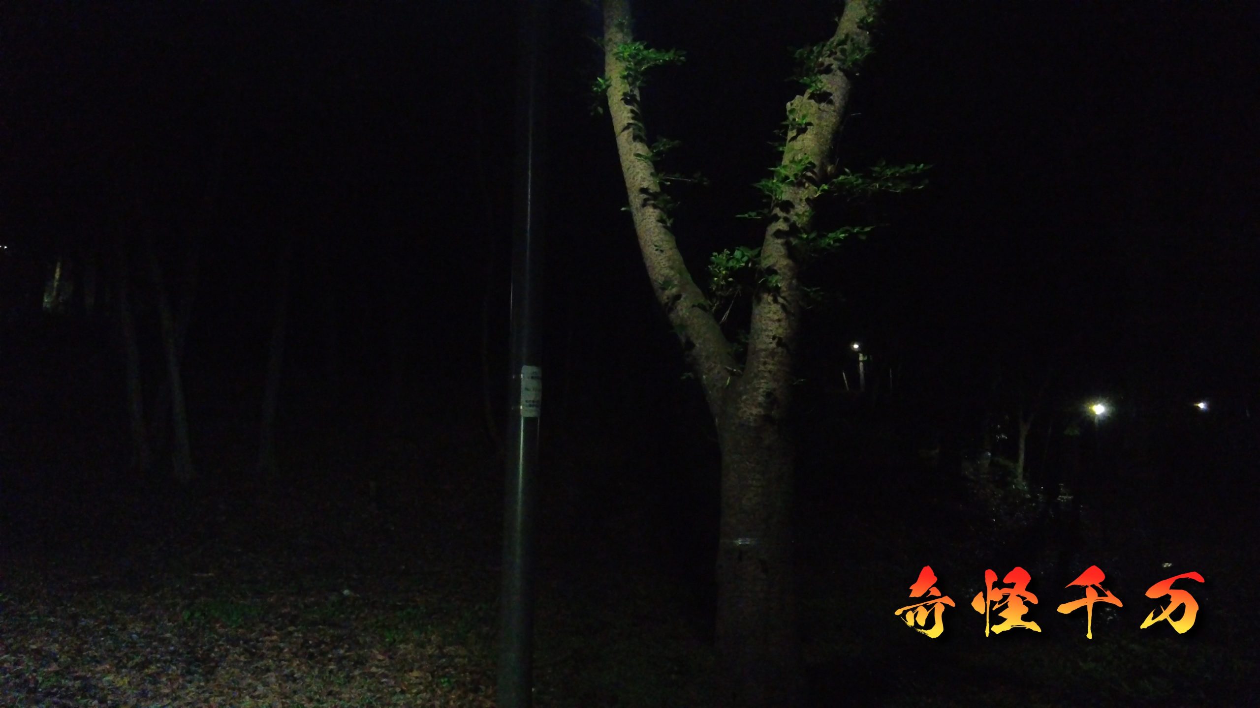 増尾城址 現地写真 16