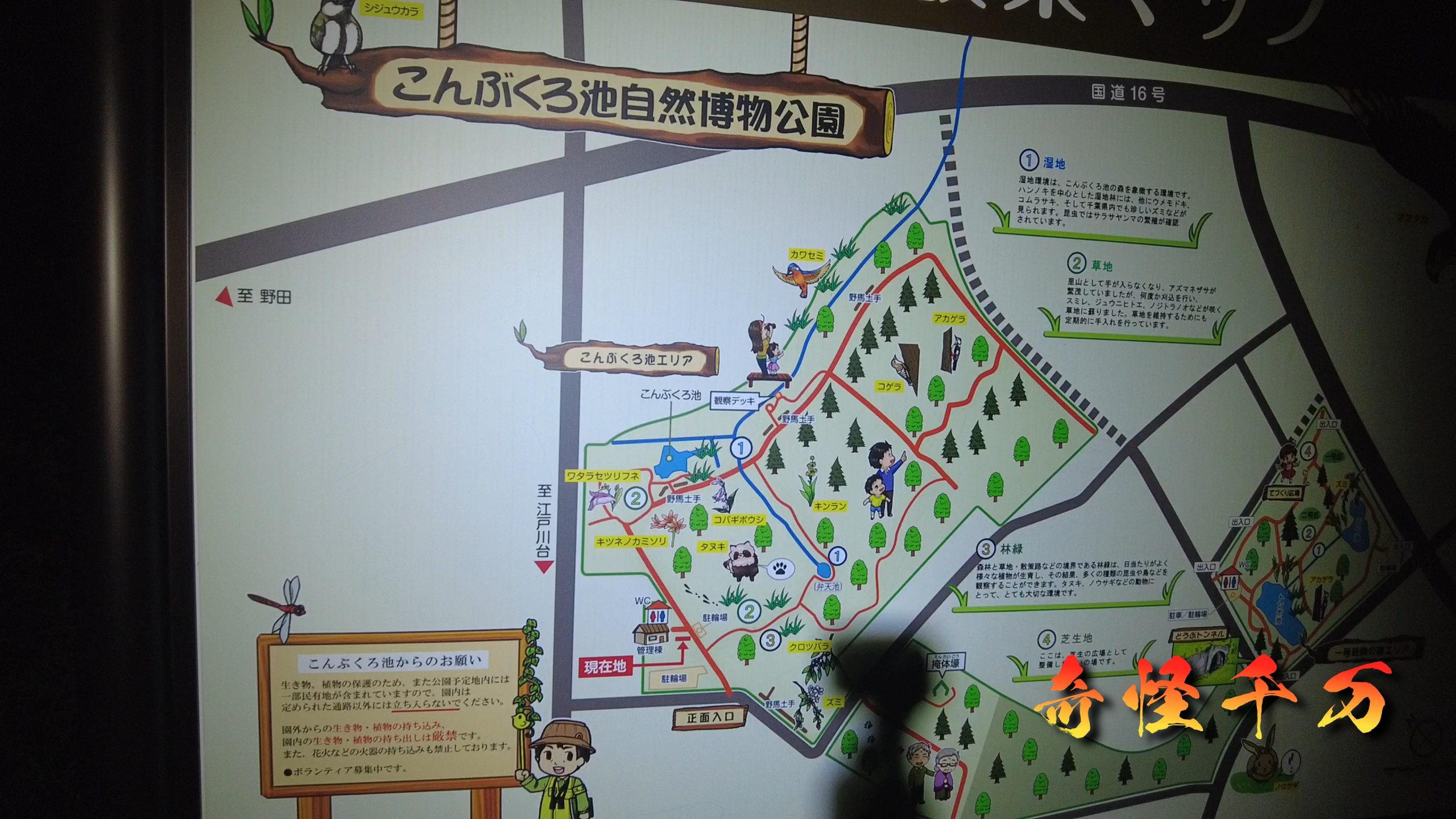 SnapShot(180).jpg