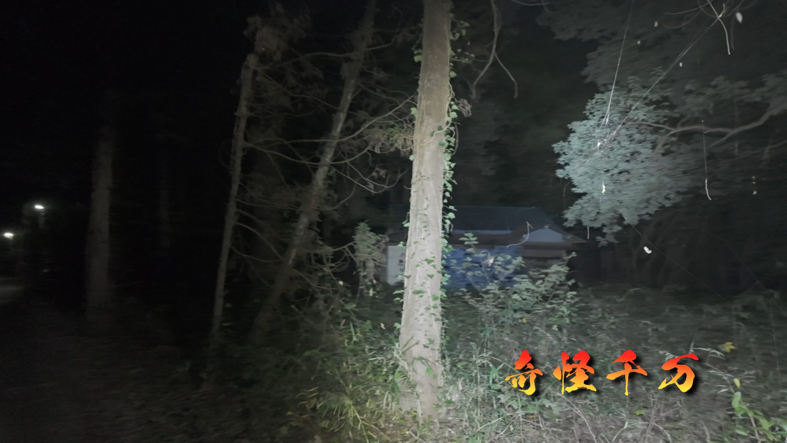 千葉県印西市 印西の惨殺屋敷 現地写真4