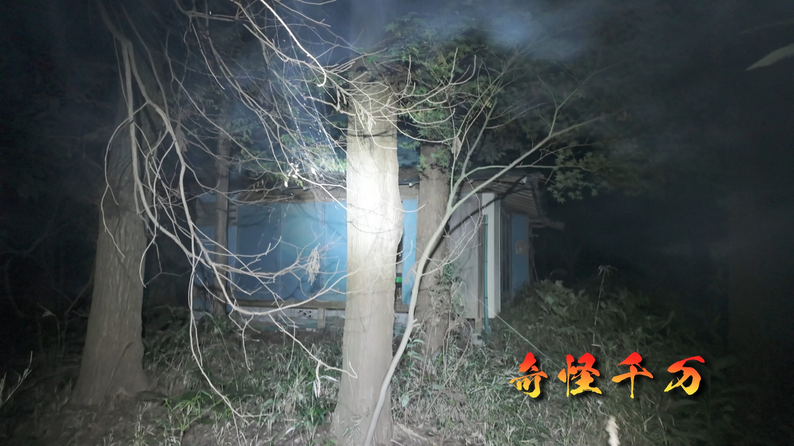 千葉県印西市 印西の惨殺屋敷 現地写真5