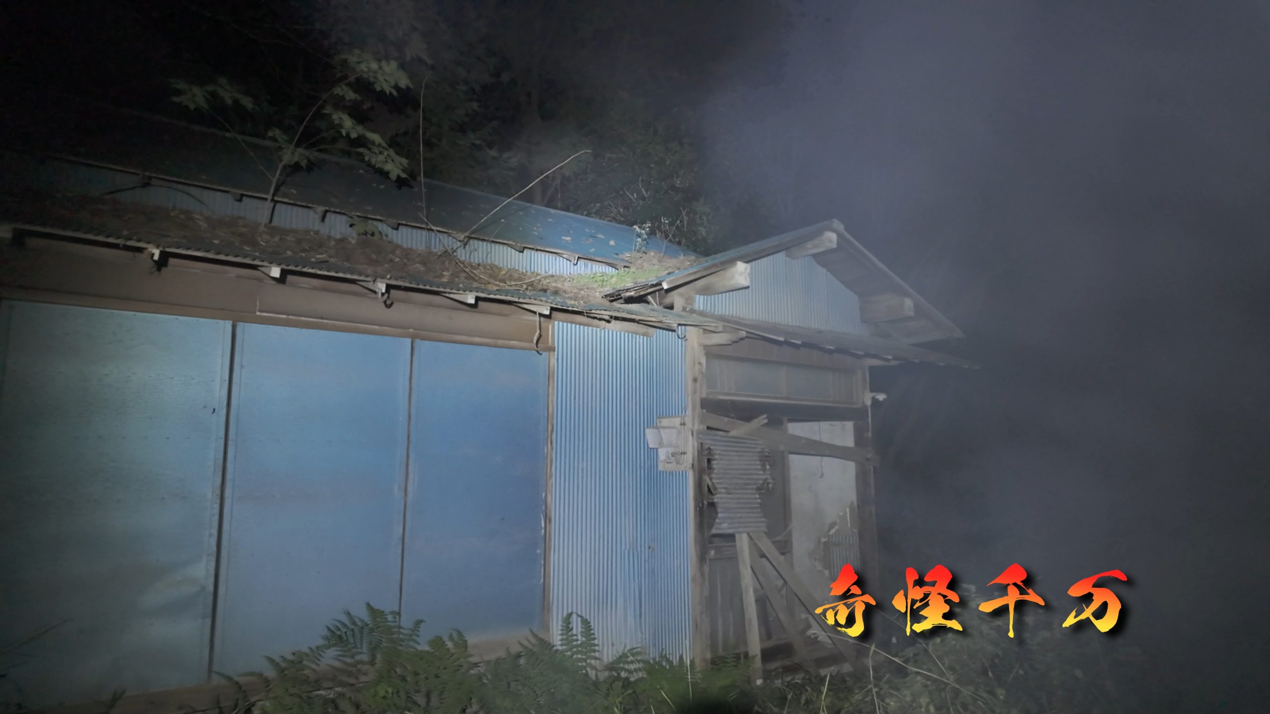 千葉県印西市 印西の惨殺屋敷 現地写真11