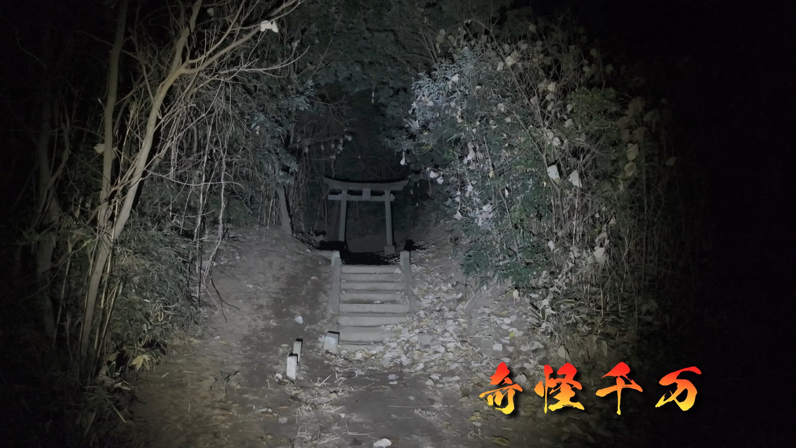 埼玉県さいたま市 七里殺人の森 現地写真1