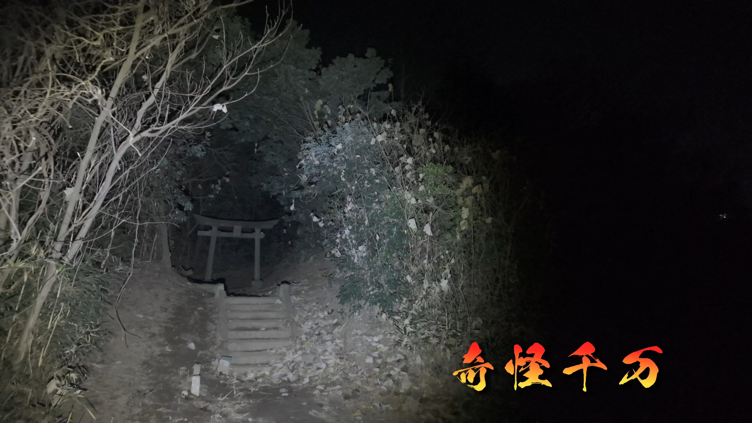 埼玉県さいたま市 七里殺人の森 現地写真2