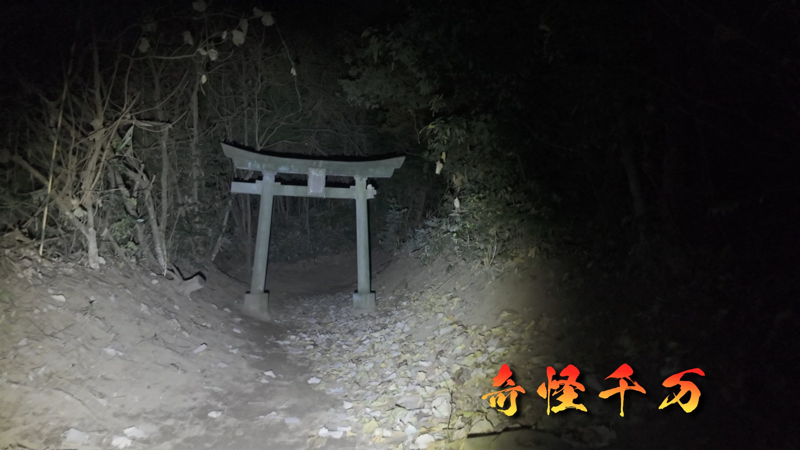 埼玉県さいたま市 七里殺人の森 現地写真3