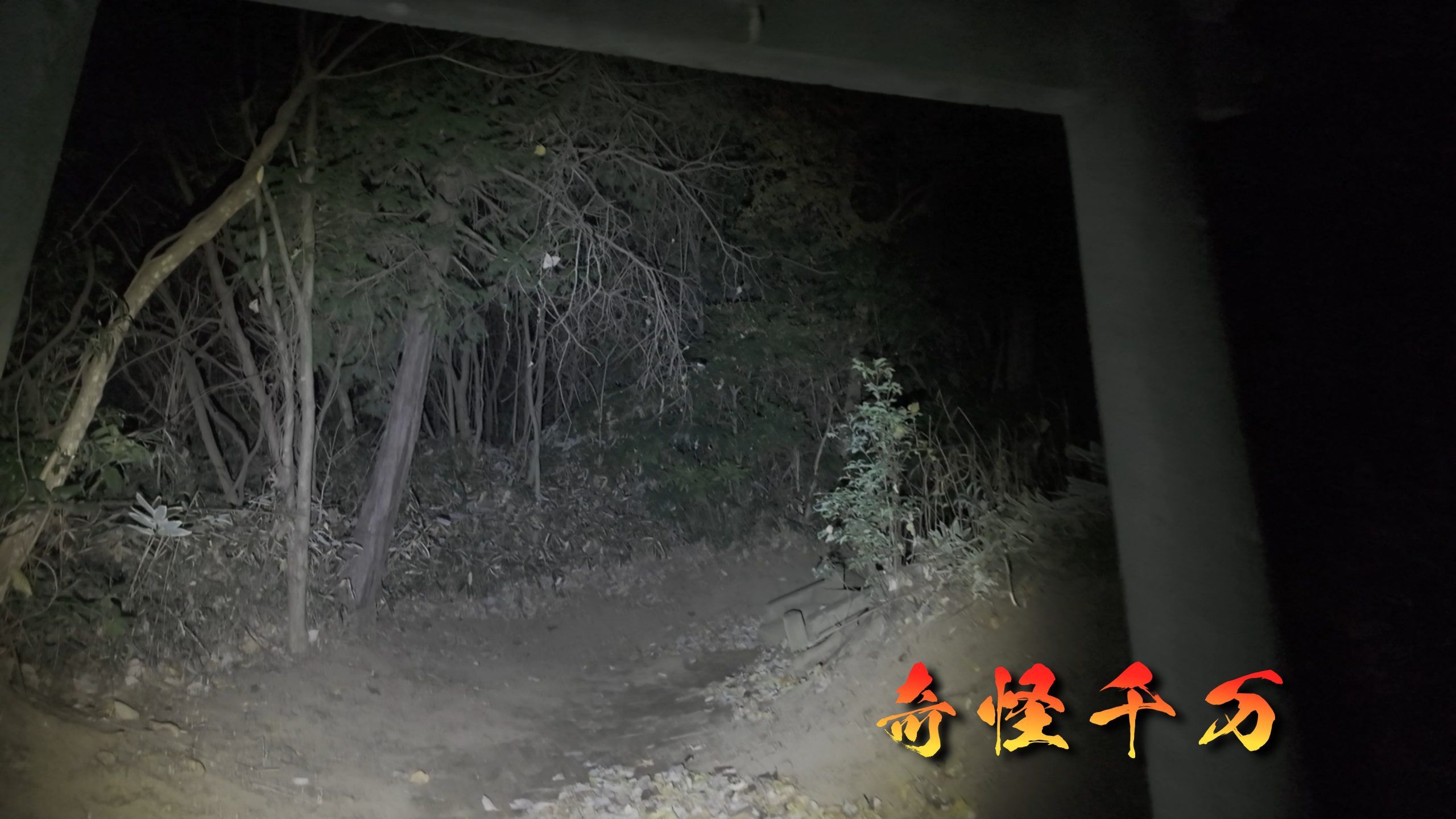 埼玉県さいたま市 七里殺人の森 現地写真4