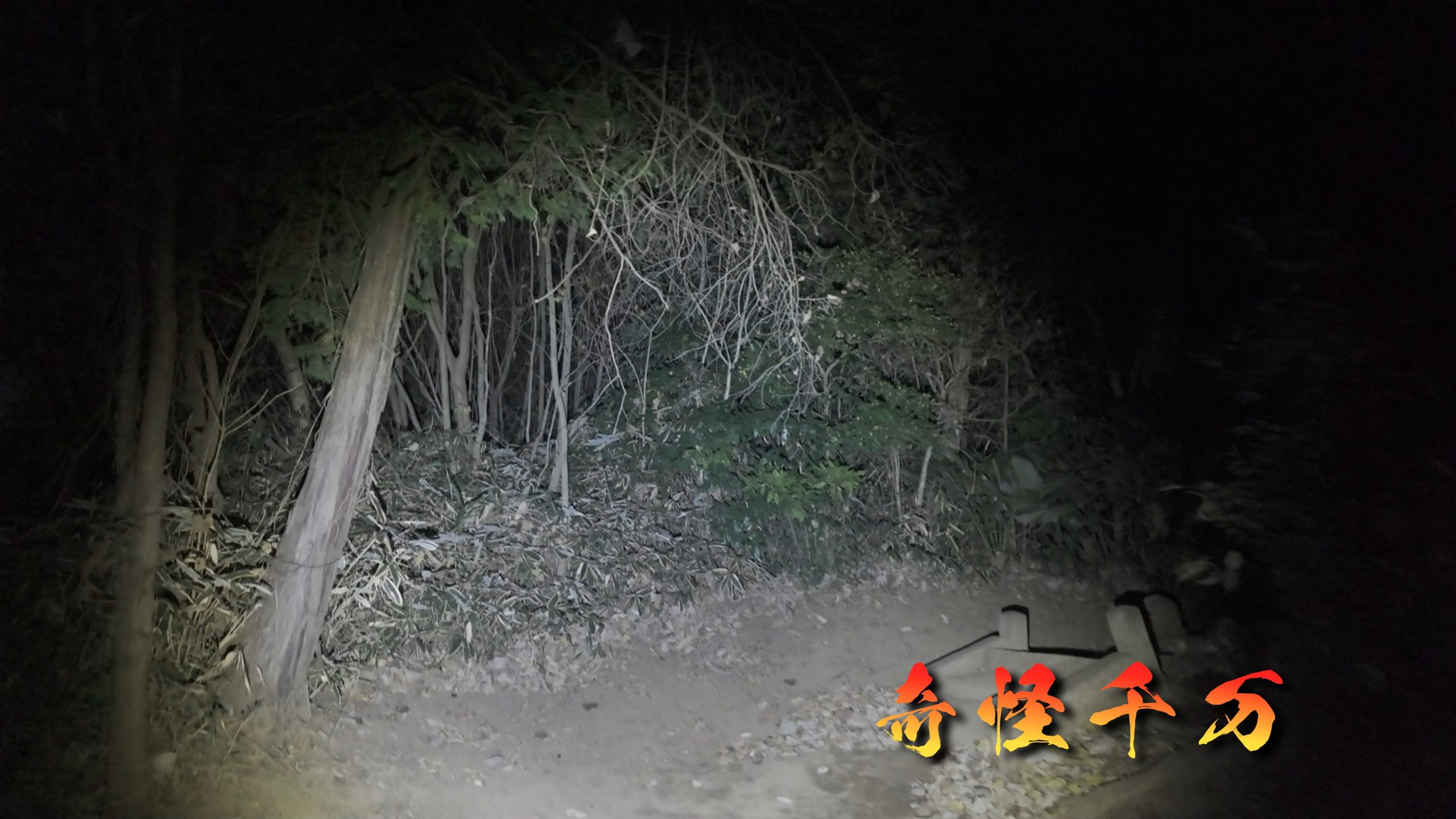 埼玉県さいたま市 七里殺人の森 現地写真5