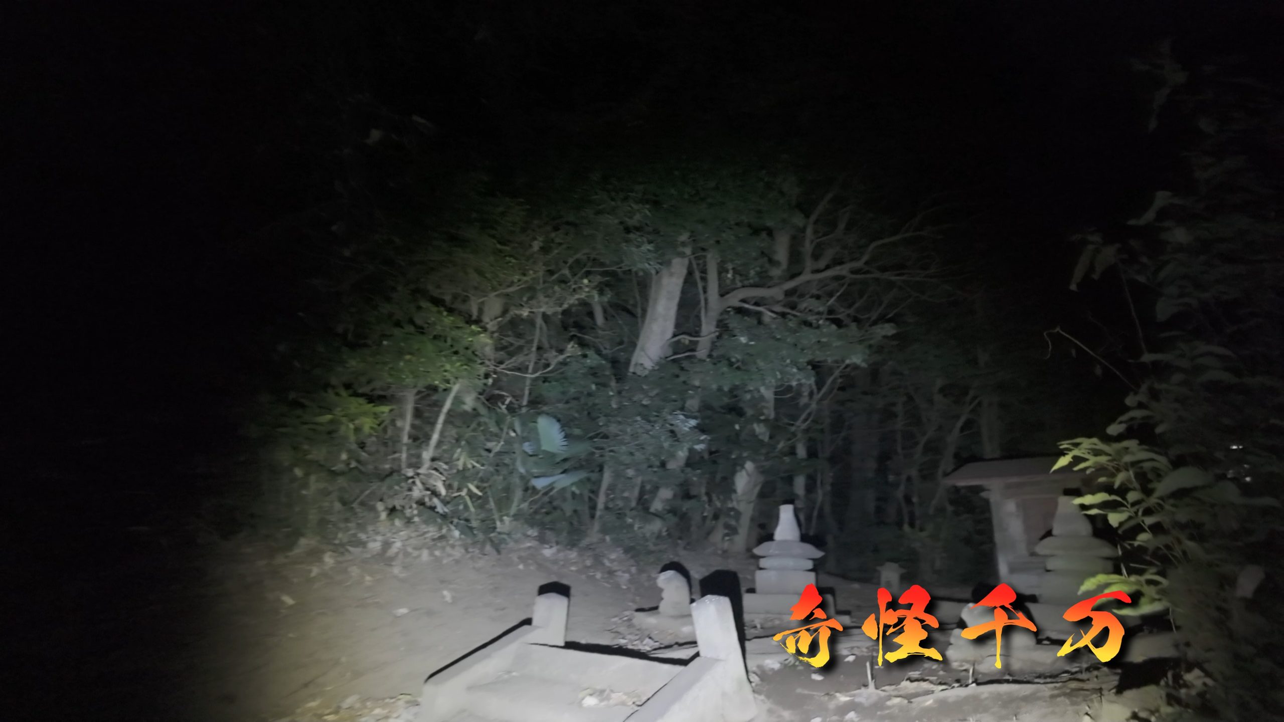 埼玉県さいたま市 七里殺人の森 現地写真6