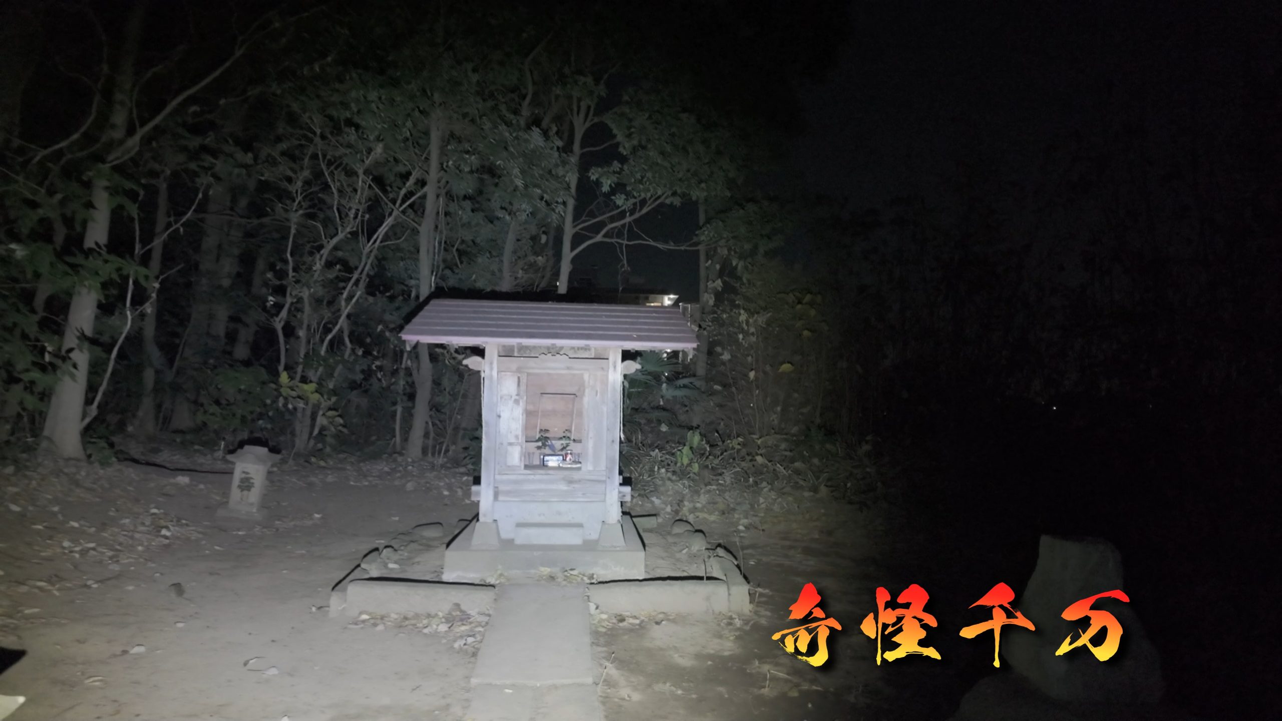 埼玉県さいたま市 七里殺人の森 現地写真8