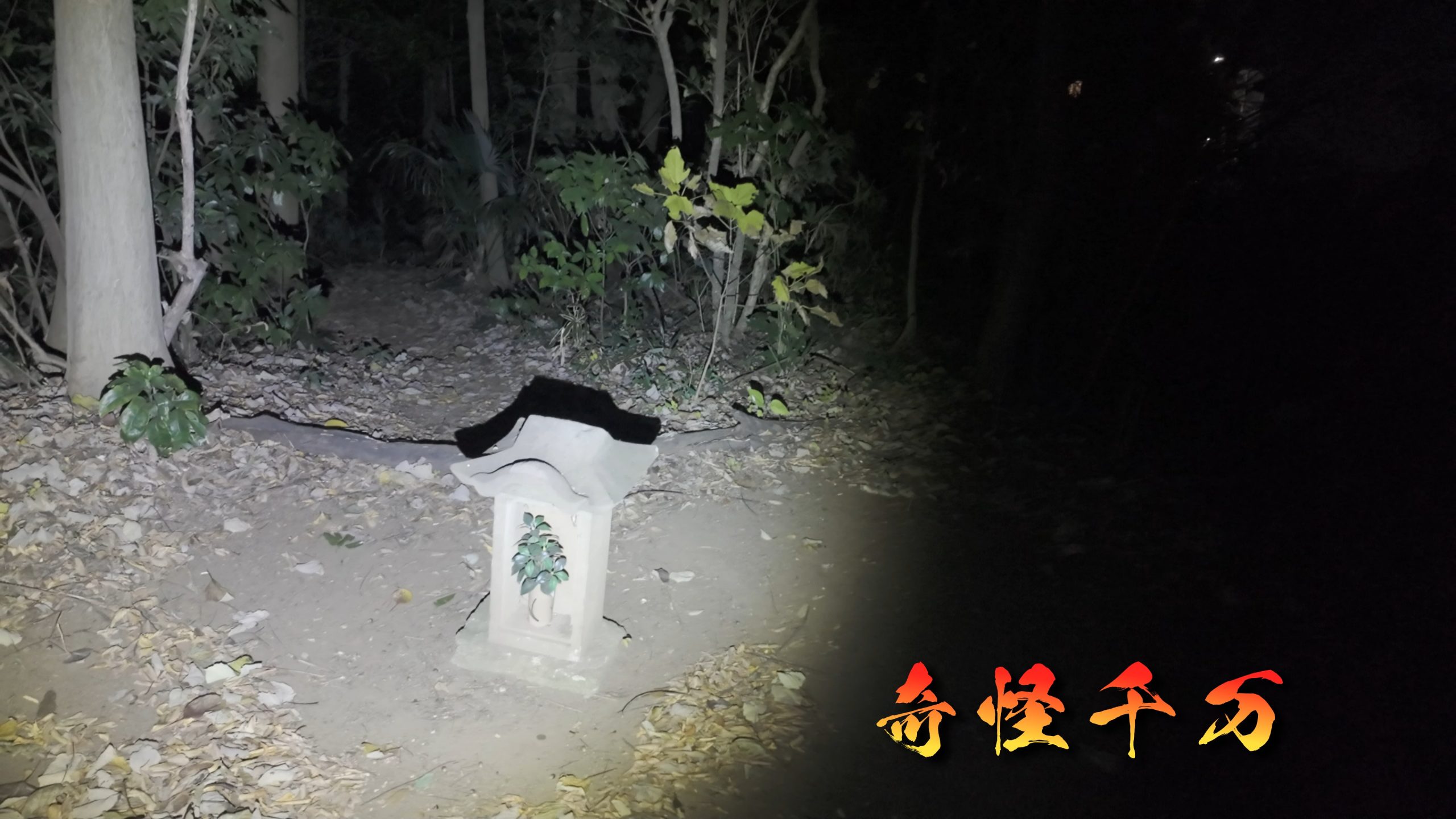 埼玉県さいたま市 七里殺人の森 現地写真10