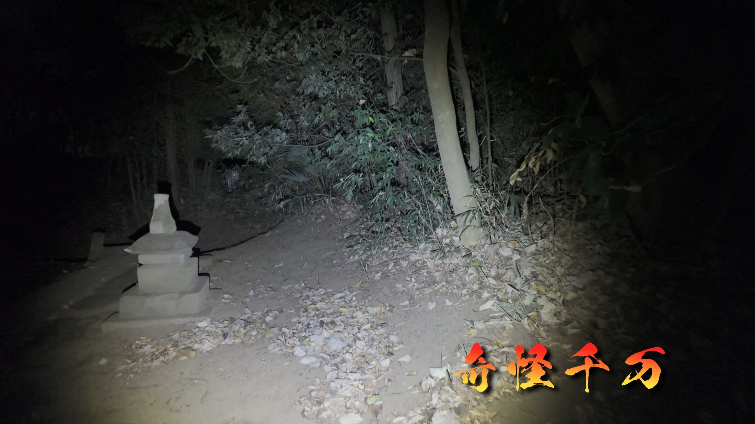 埼玉県さいたま市 七里殺人の森 現地写真11
