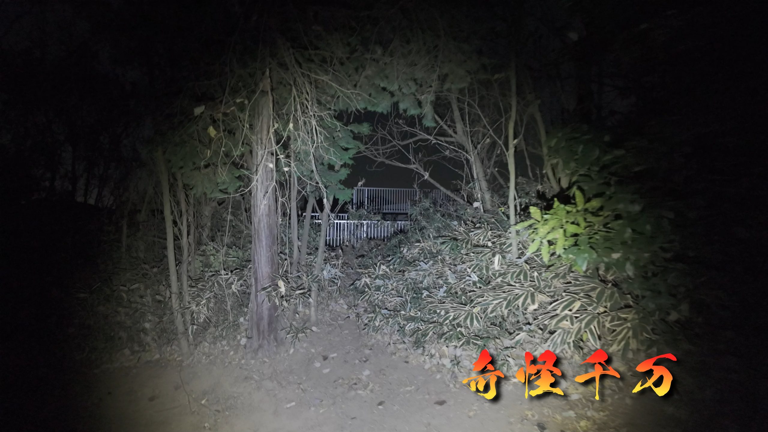 埼玉県さいたま市 七里殺人の森 現地写真12