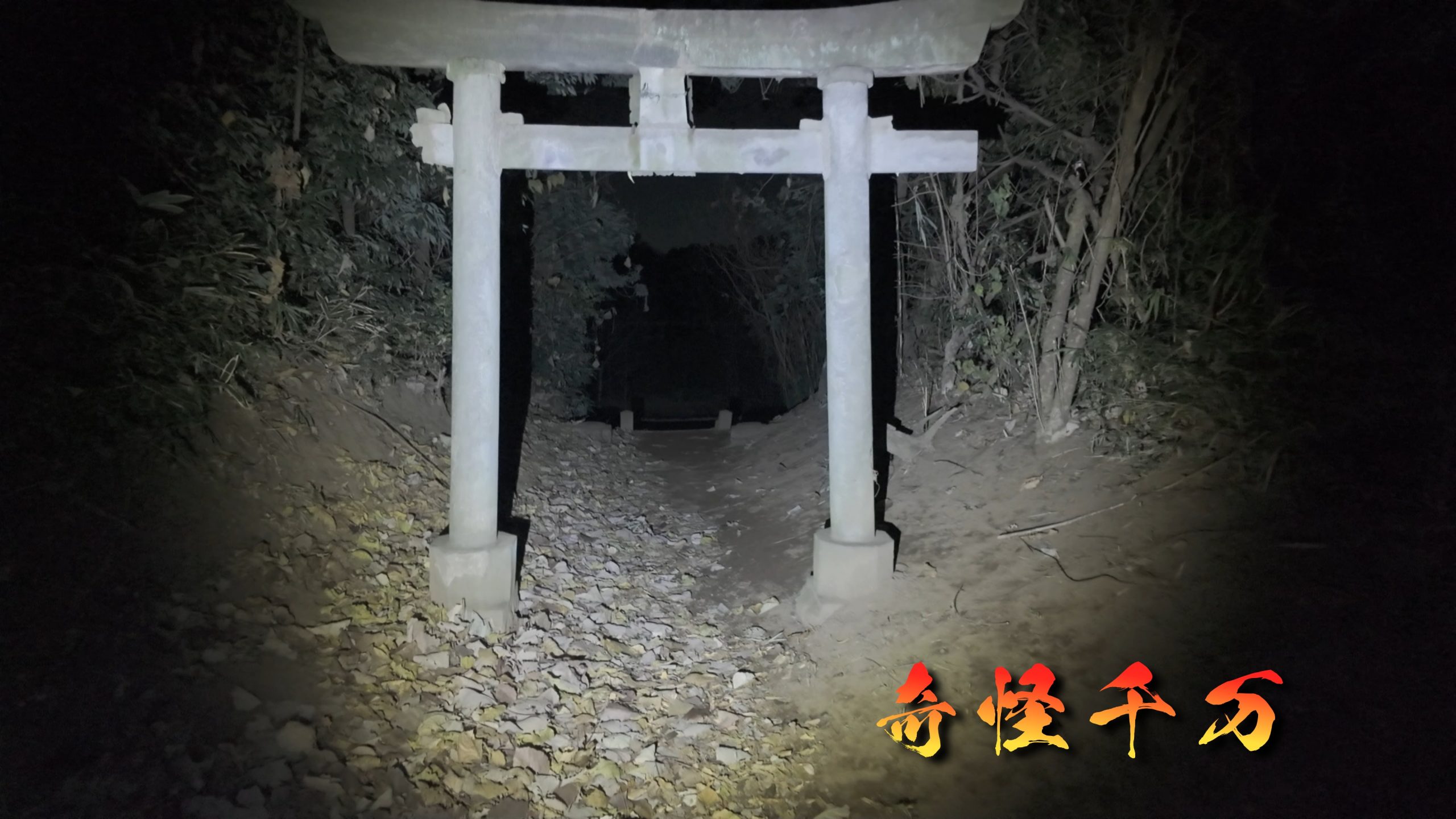 埼玉県さいたま市 七里殺人の森 現地写真13