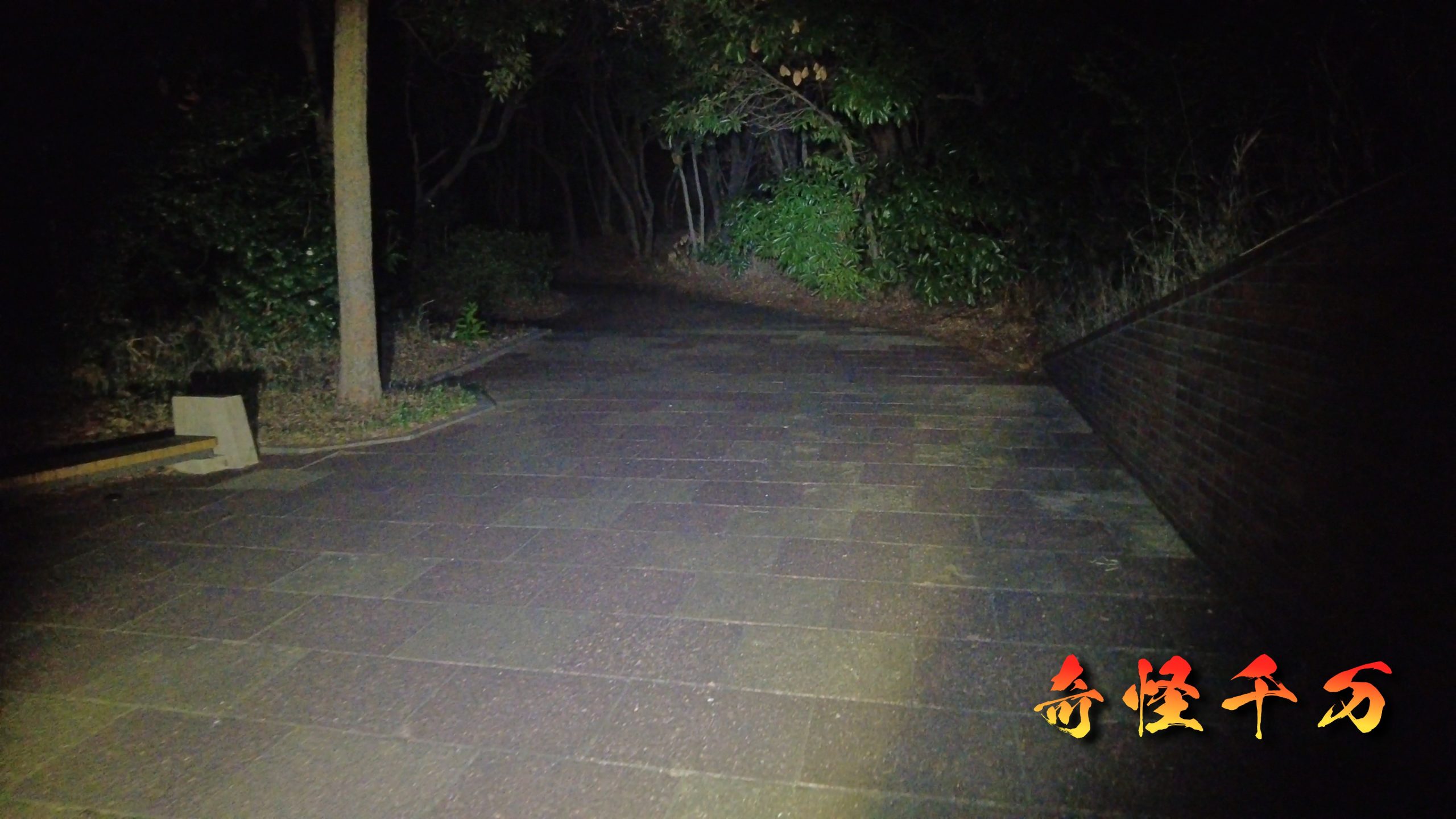 4. 現地検証 現地写真