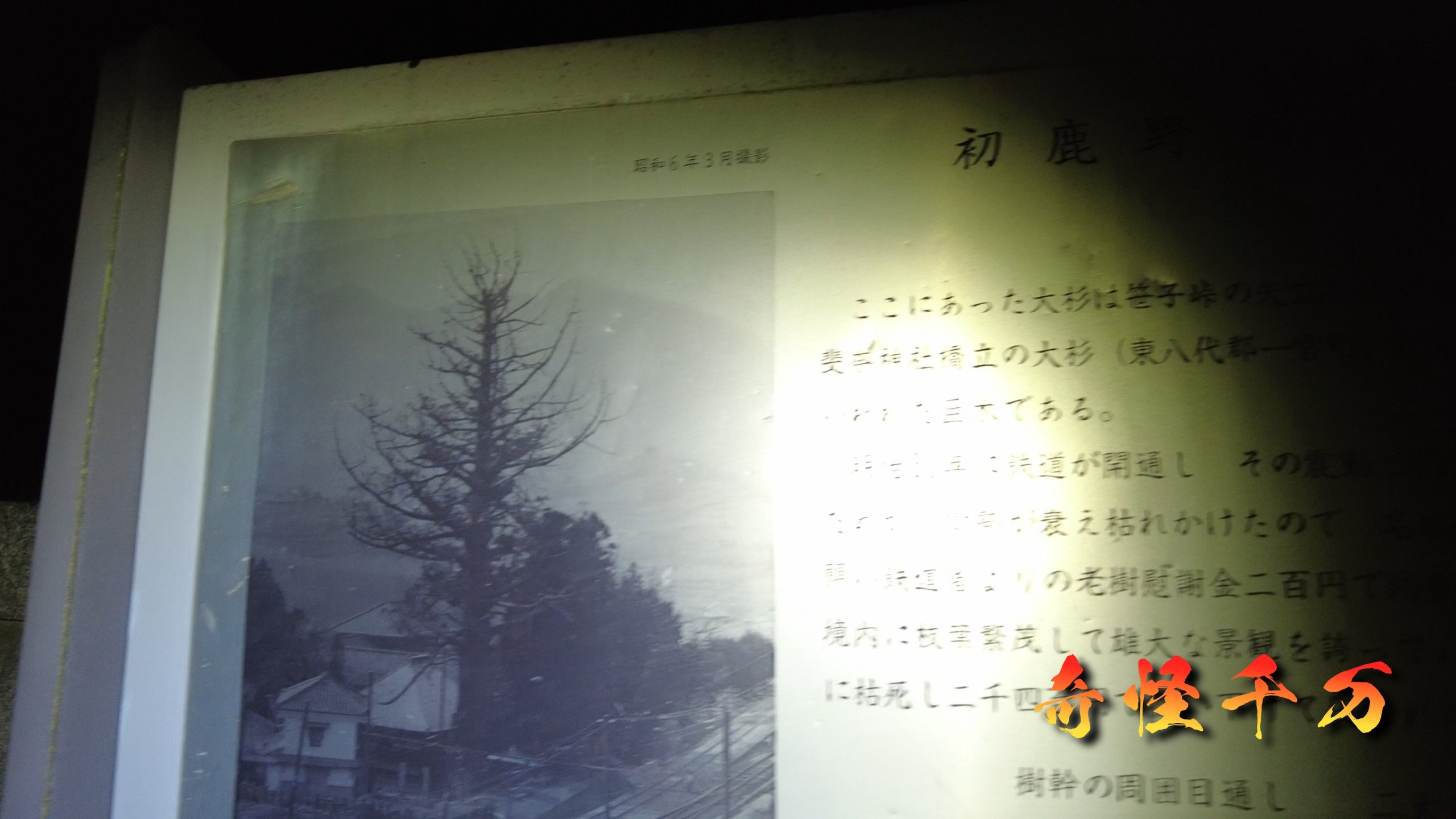 SnapShot(232).jpg