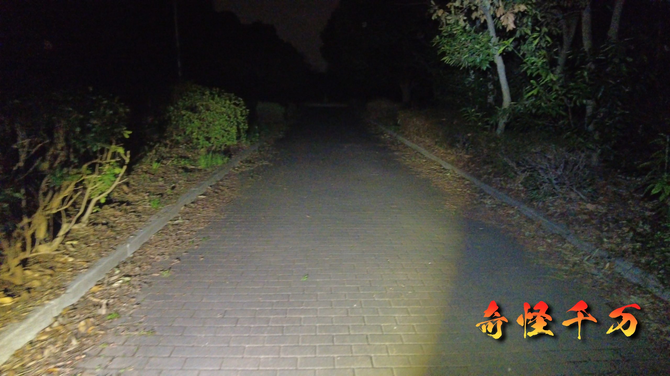 7. 総合分析 現地写真