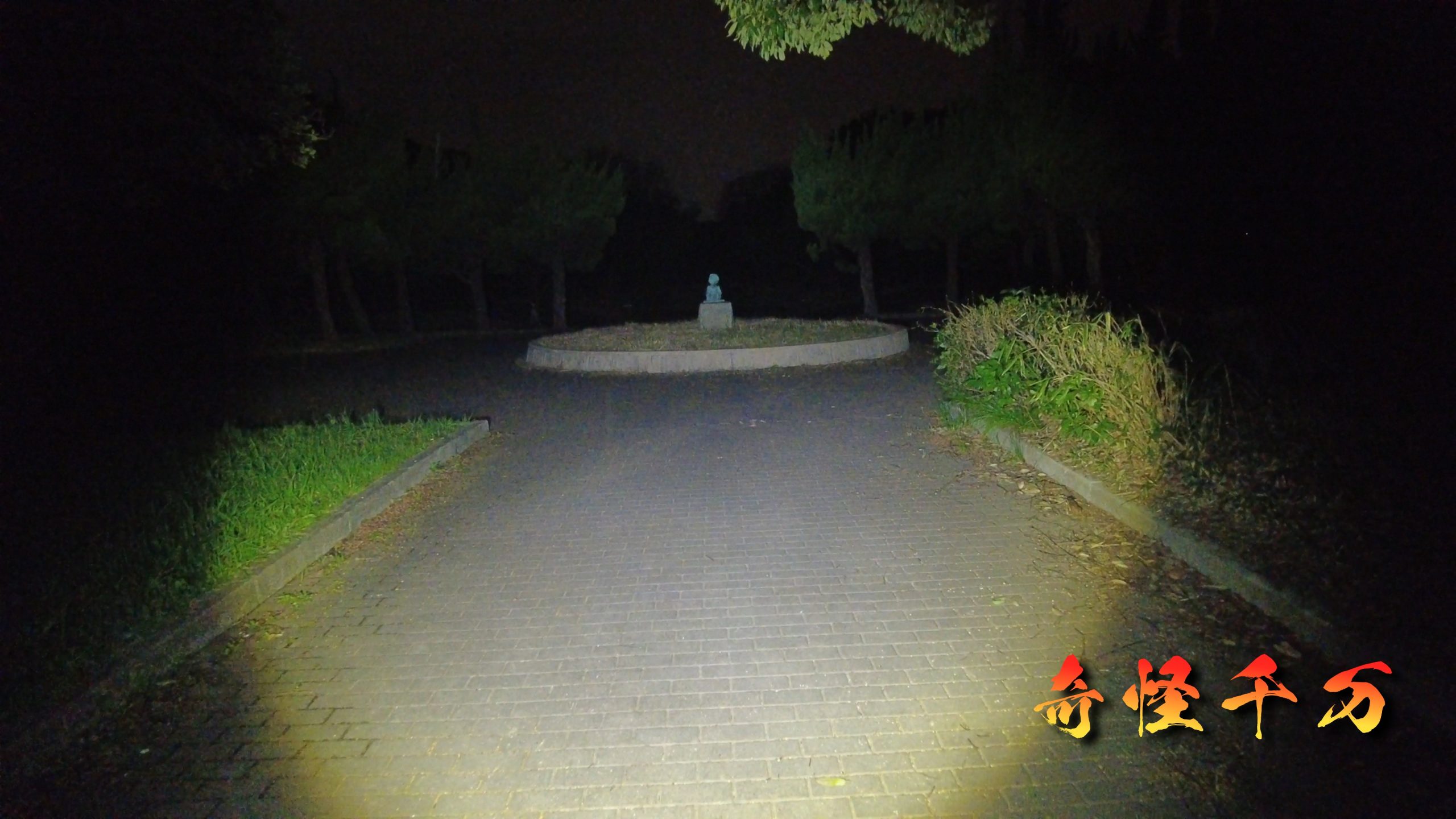 7. 総合分析 現地写真