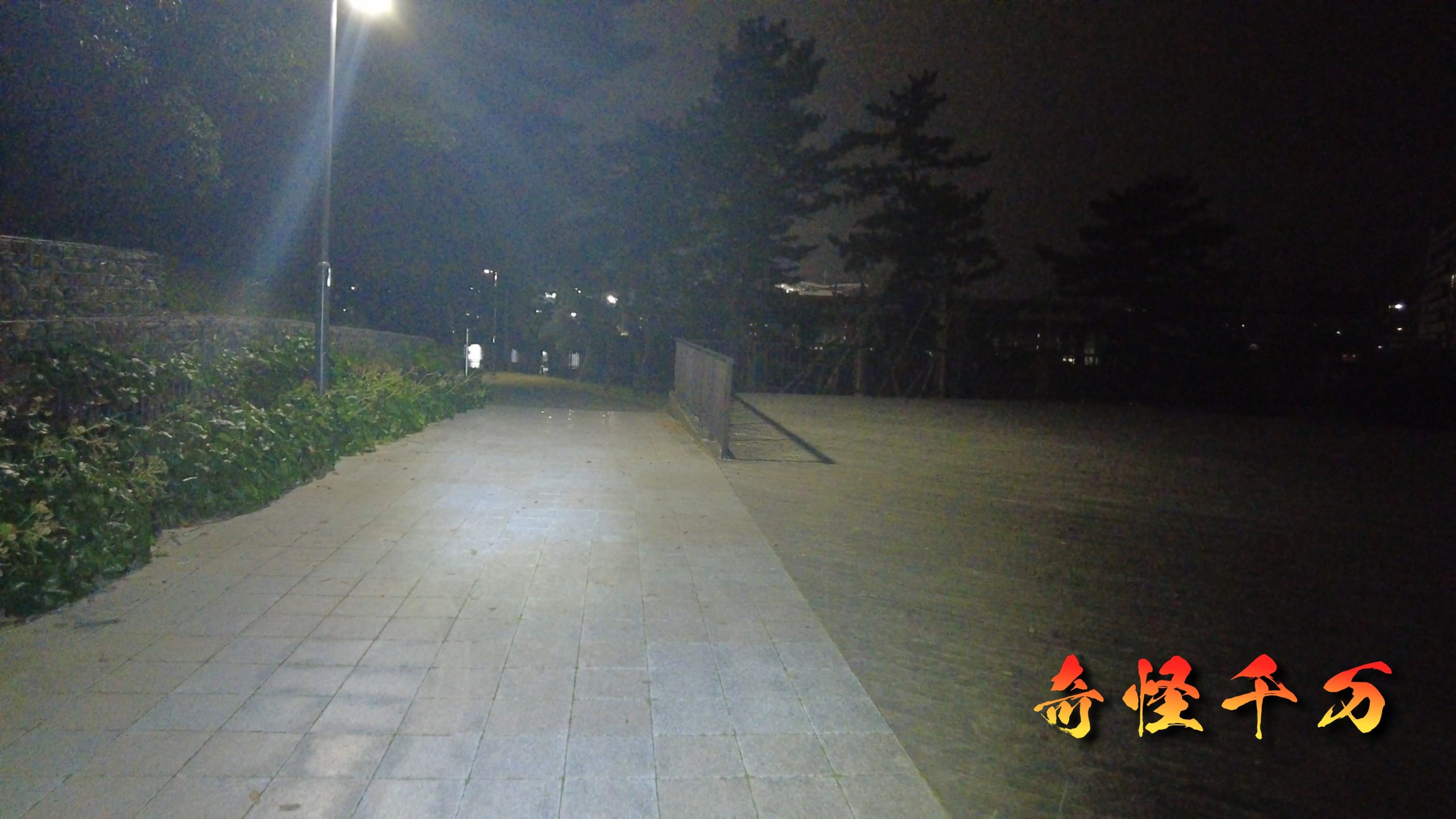 大井ふ頭中央海浜公園 現地調査写真 SnapShot(243).jpg