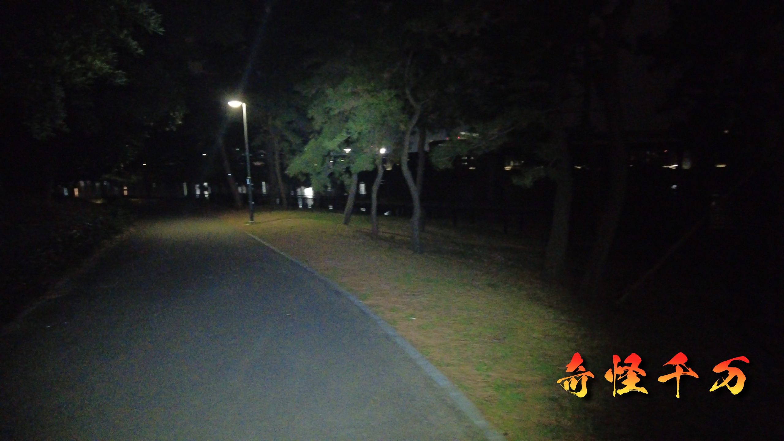 大井ふ頭中央海浜公園 現地調査写真 SnapShot(244).jpg