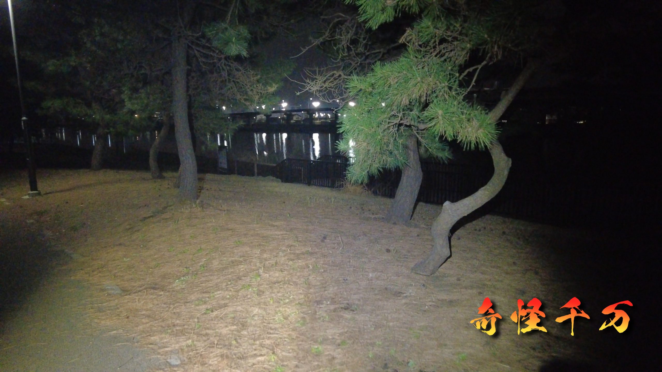 大井ふ頭中央海浜公園 現地調査写真 SnapShot(245).jpg