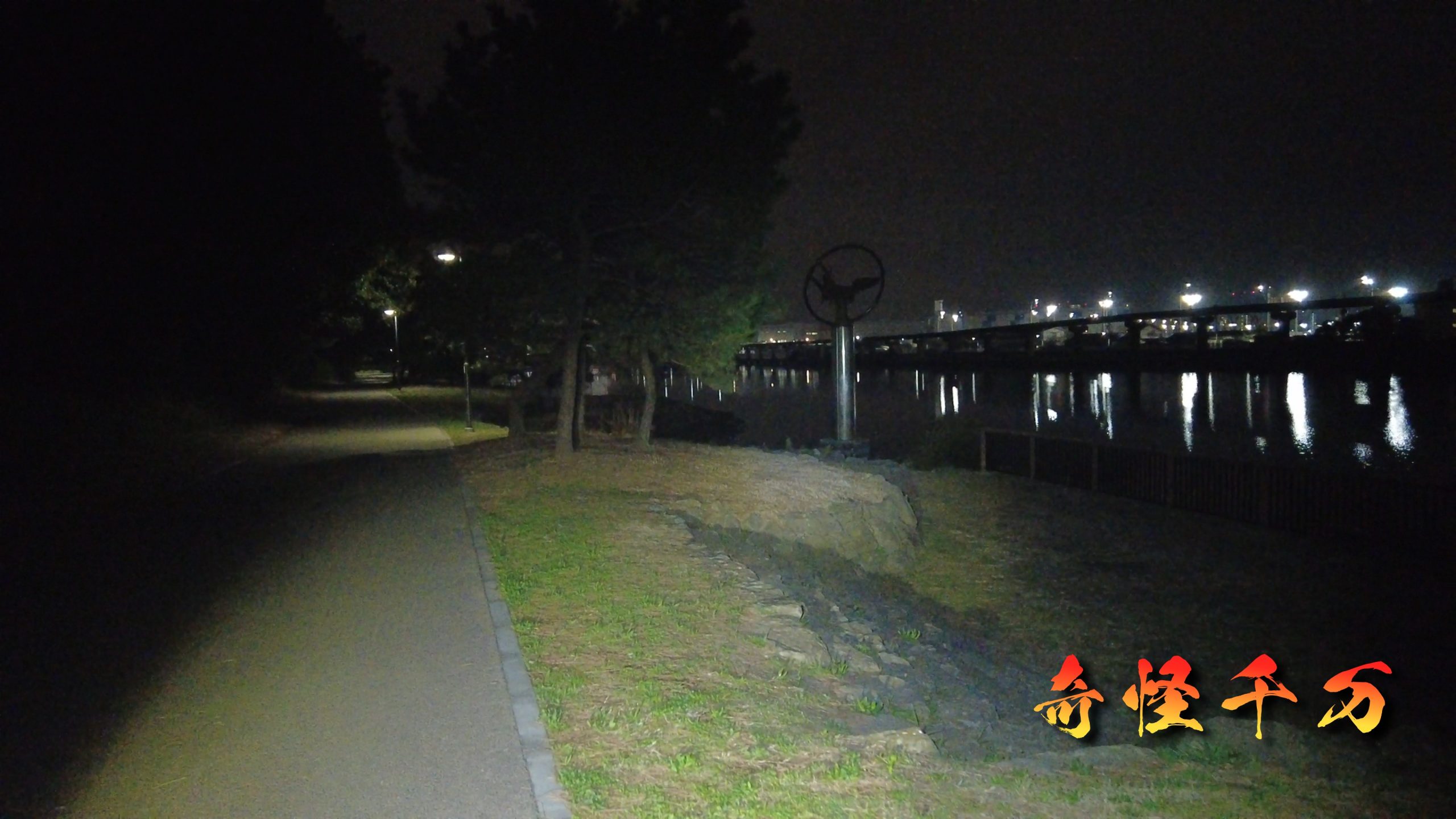 大井ふ頭中央海浜公園 現地調査写真 SnapShot(246).jpg