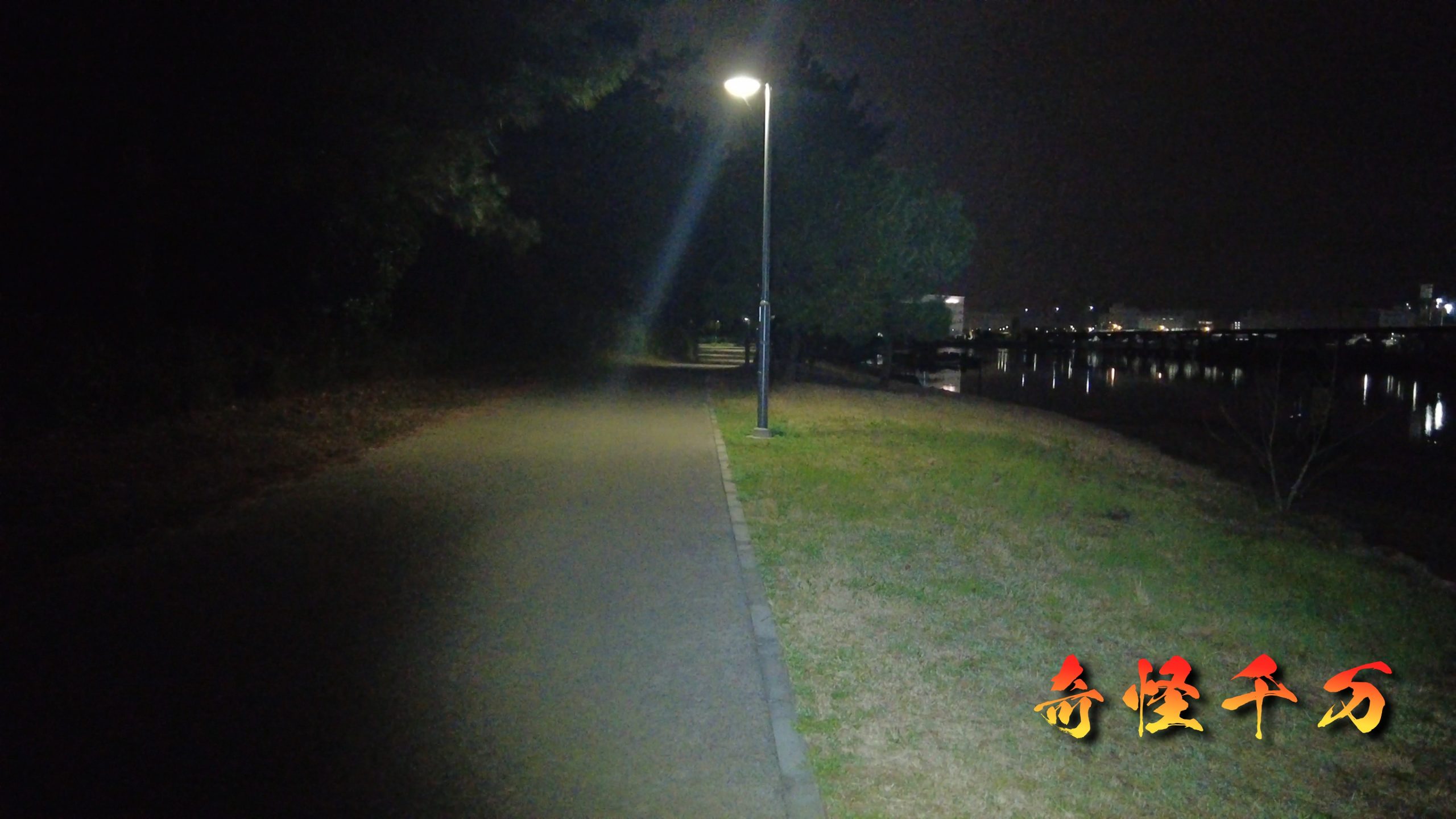 大井ふ頭中央海浜公園 現地調査写真 SnapShot(247).jpg