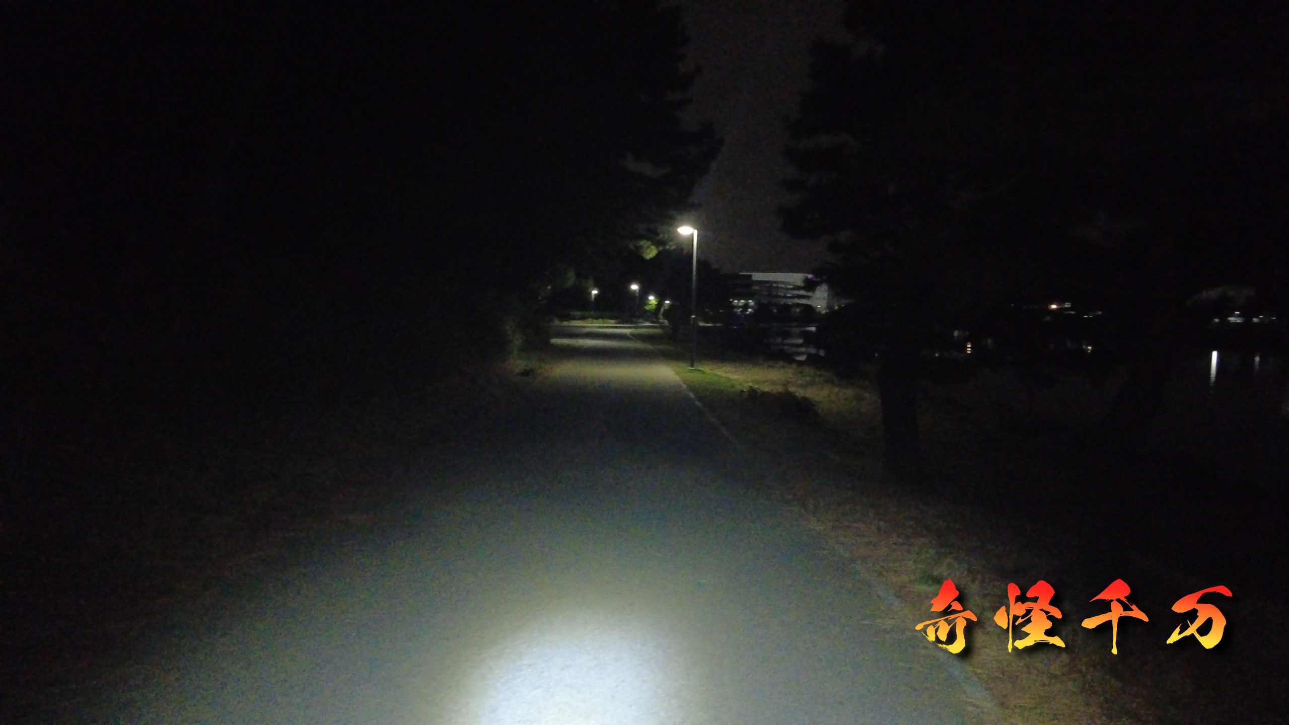 大井ふ頭中央海浜公園 現地調査写真 SnapShot(248).jpg