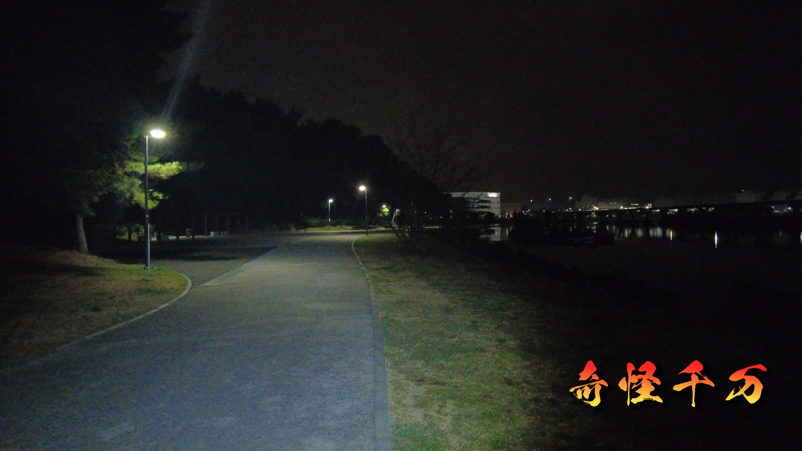 大井ふ頭中央海浜公園 現地調査写真 SnapShot(249).jpg