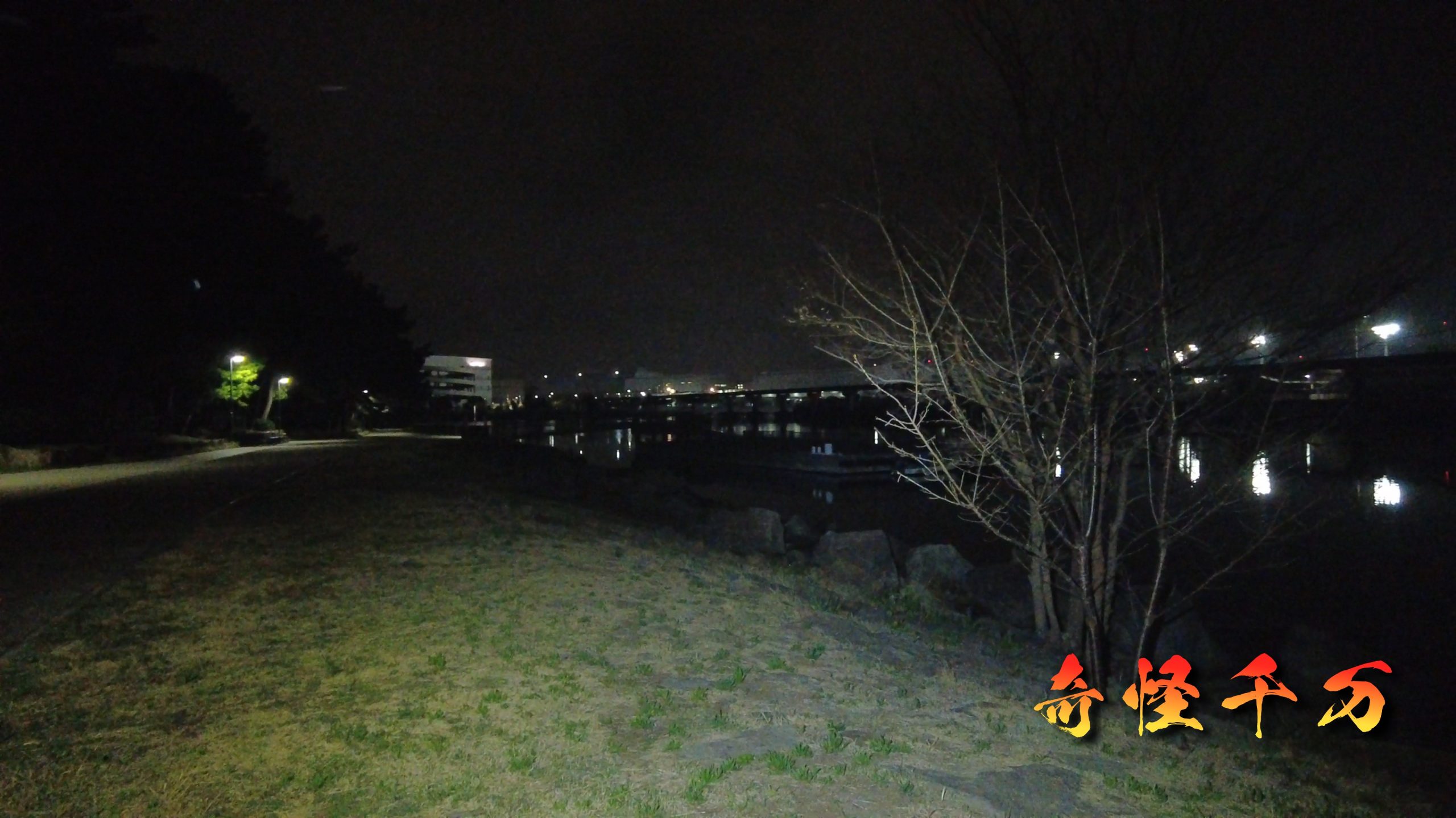 大井ふ頭中央海浜公園 現地調査写真 SnapShot(251).jpg
