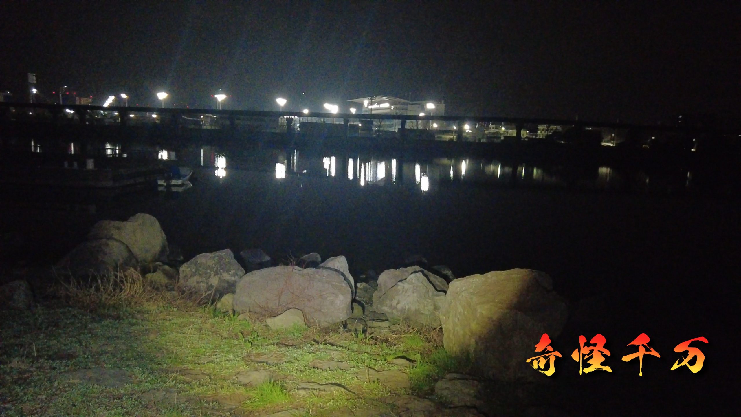 大井ふ頭中央海浜公園 現地調査写真 SnapShot(252).jpg