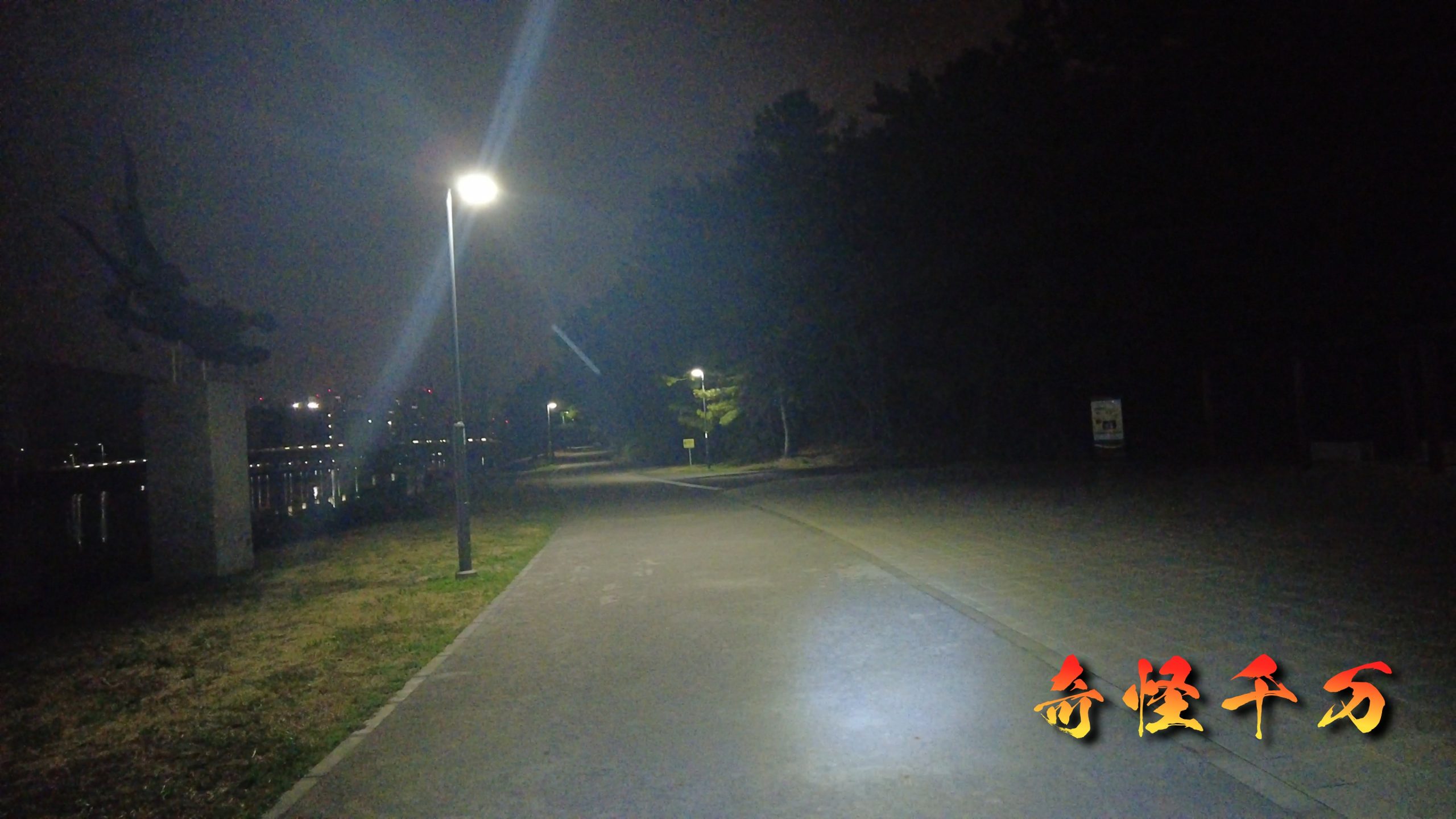 大井ふ頭中央海浜公園 現地調査写真 SnapShot(253).jpg