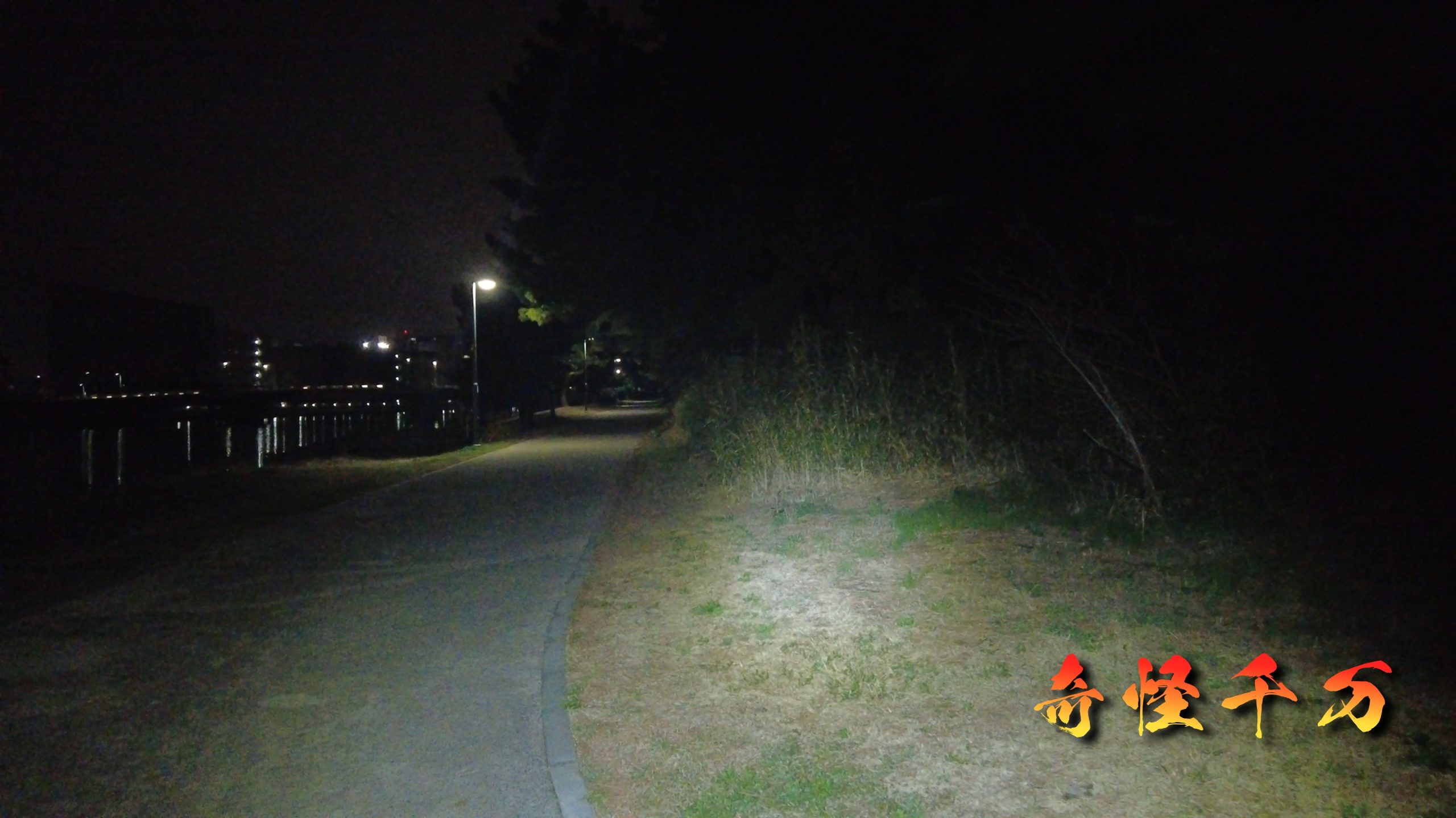 大井ふ頭中央海浜公園 現地調査写真 SnapShot(254).jpg