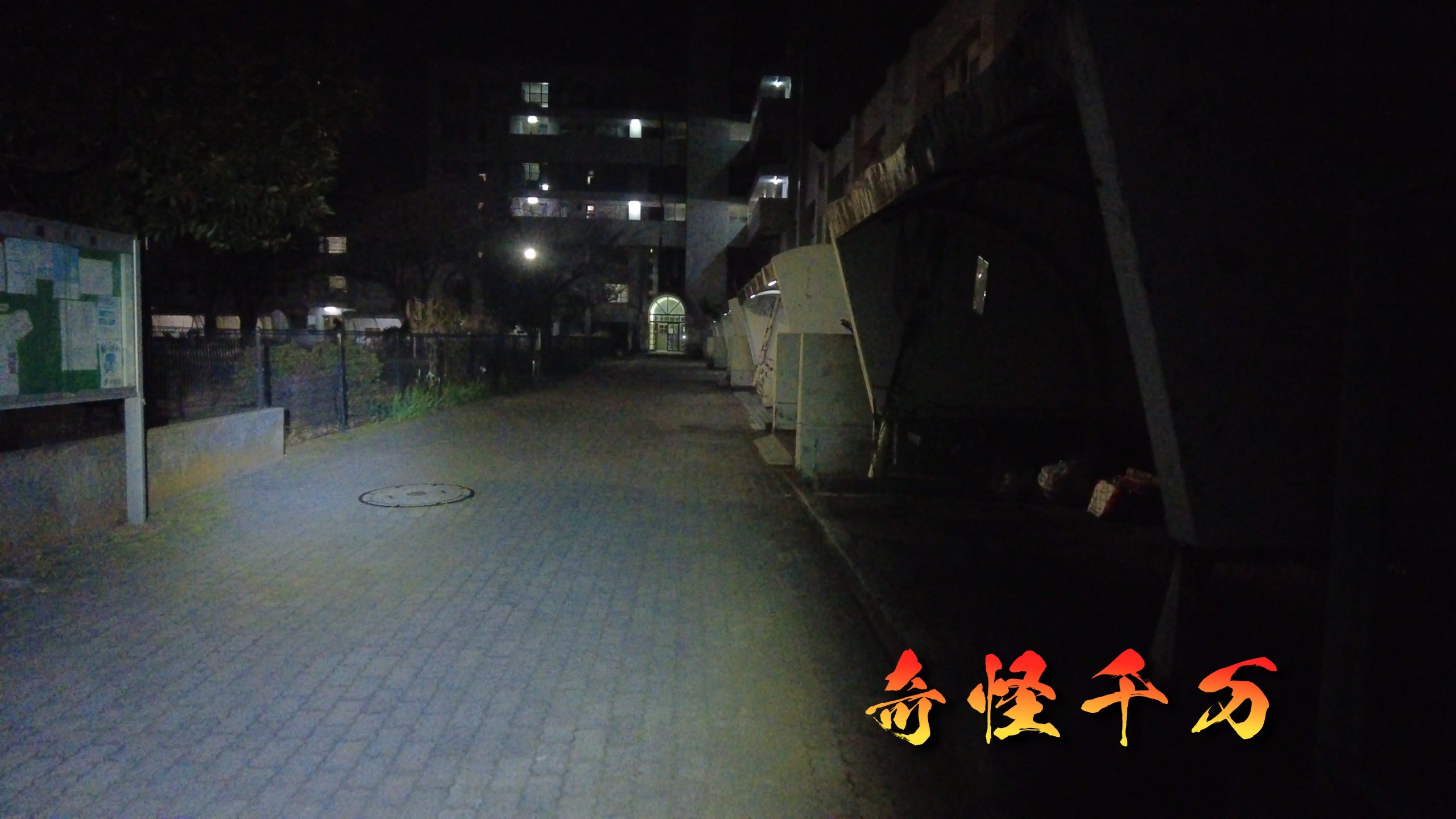 団地前の木立と夜間の通路