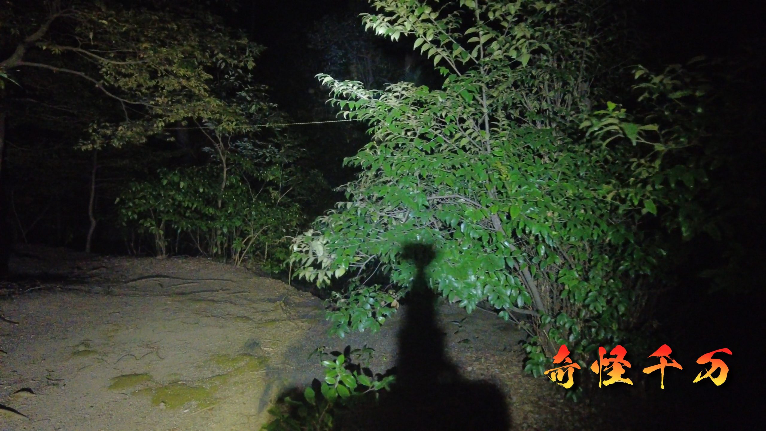 4. 現地検証 現地写真