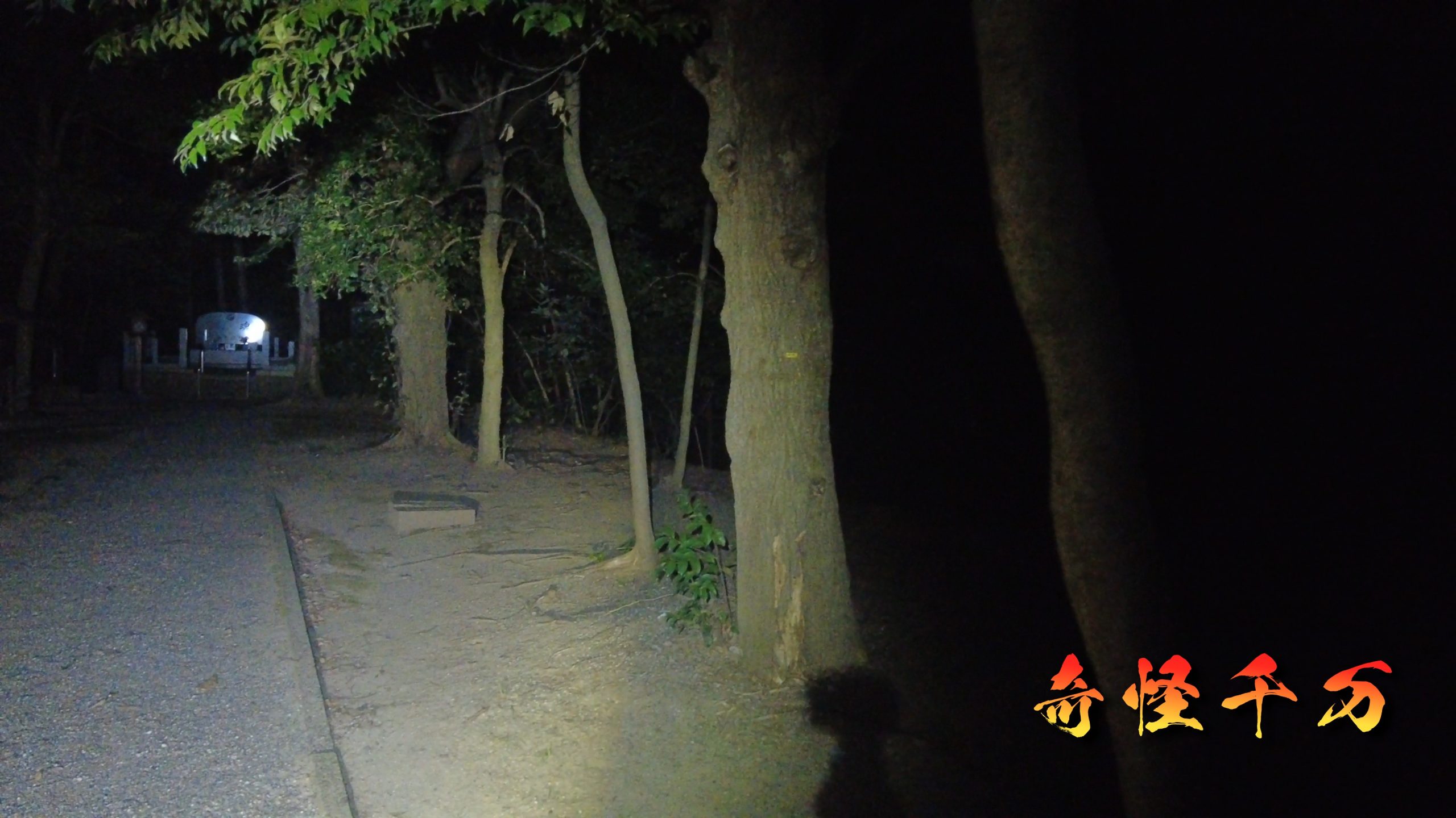 4. 現地検証 現地写真