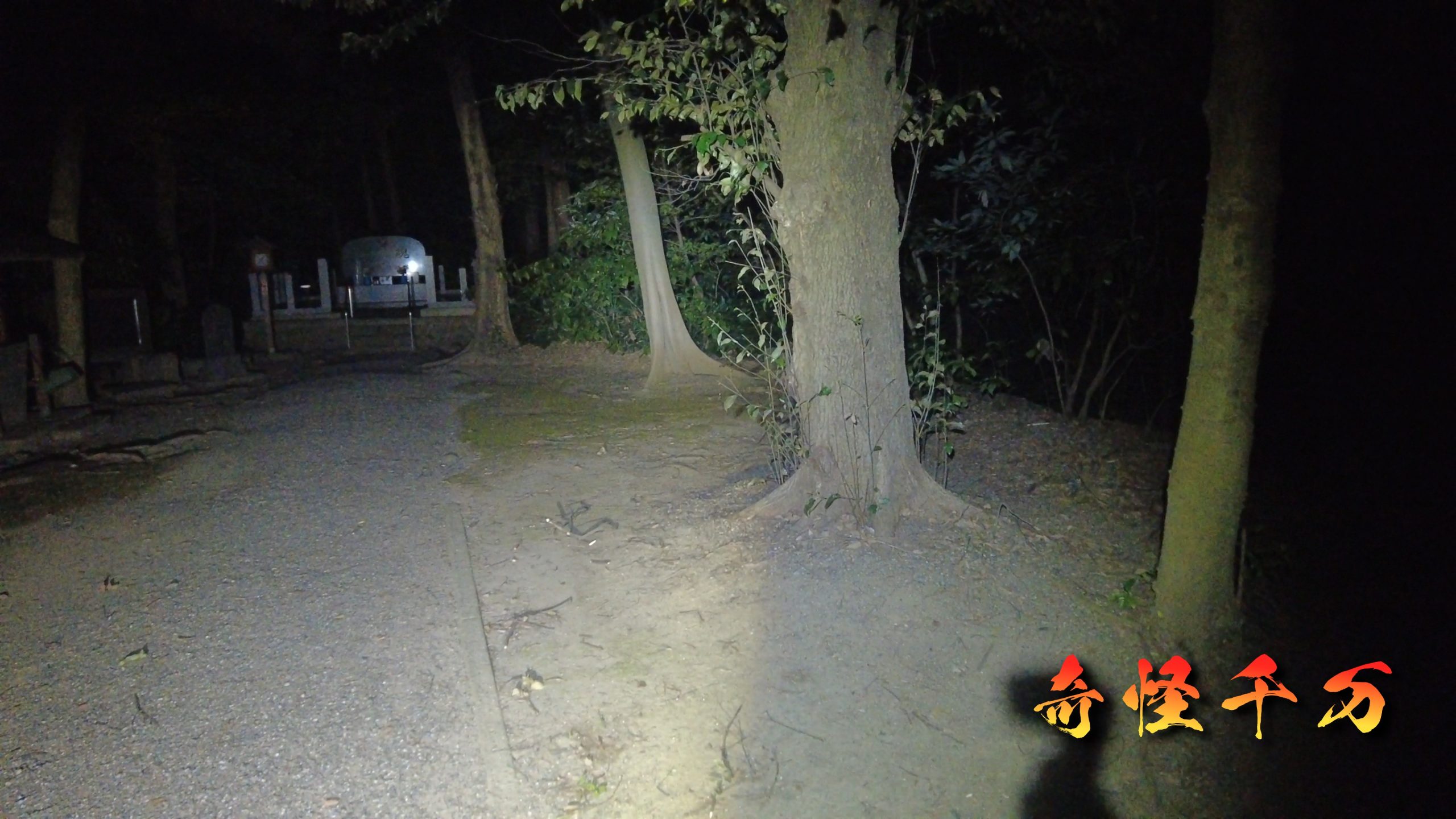 4. 現地検証 現地写真