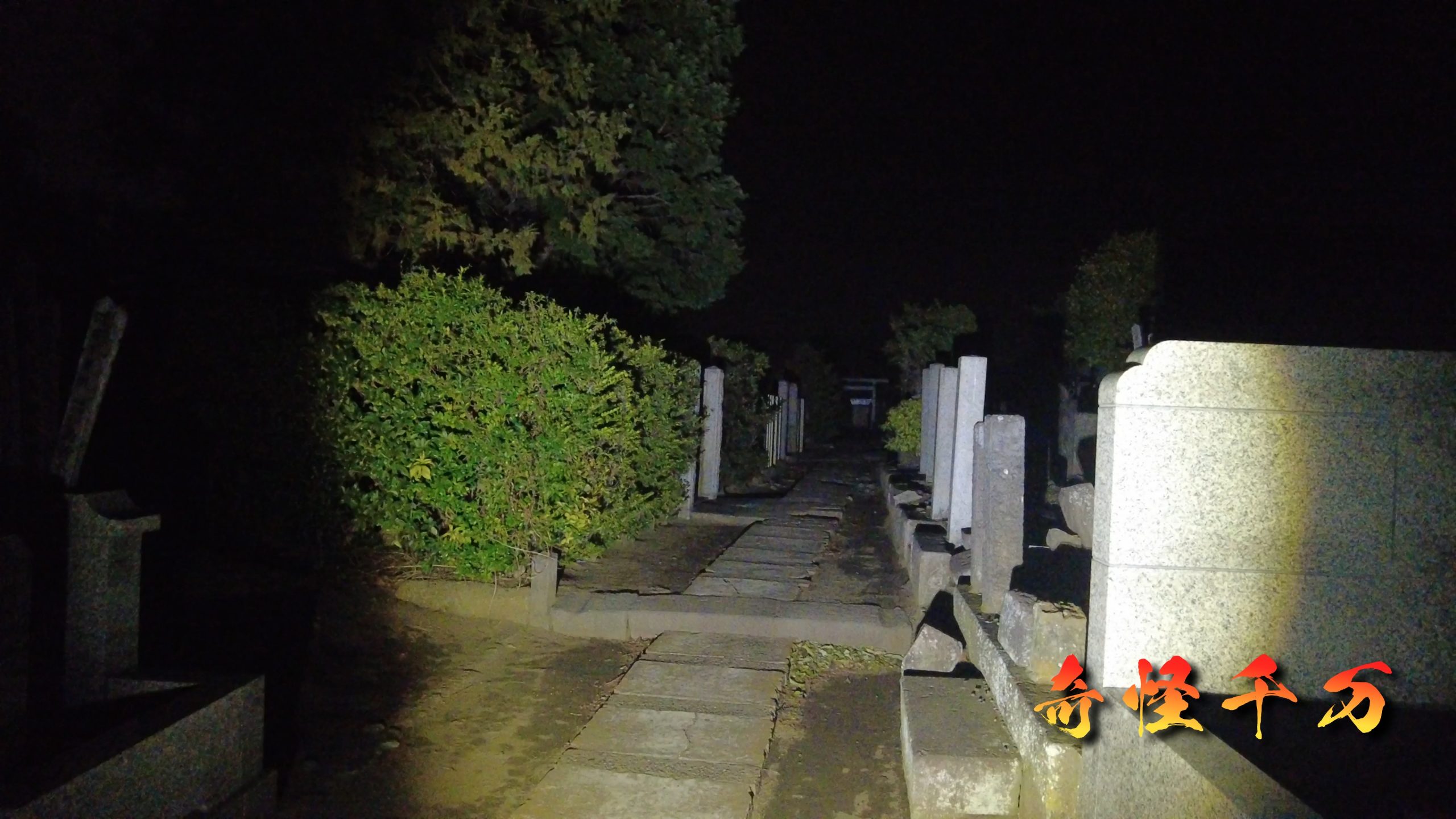 9. 引用文献及び引用サイト 現地写真