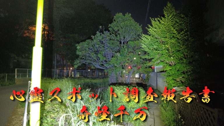 呪いの切り株(第六天の森) 現地写真 319