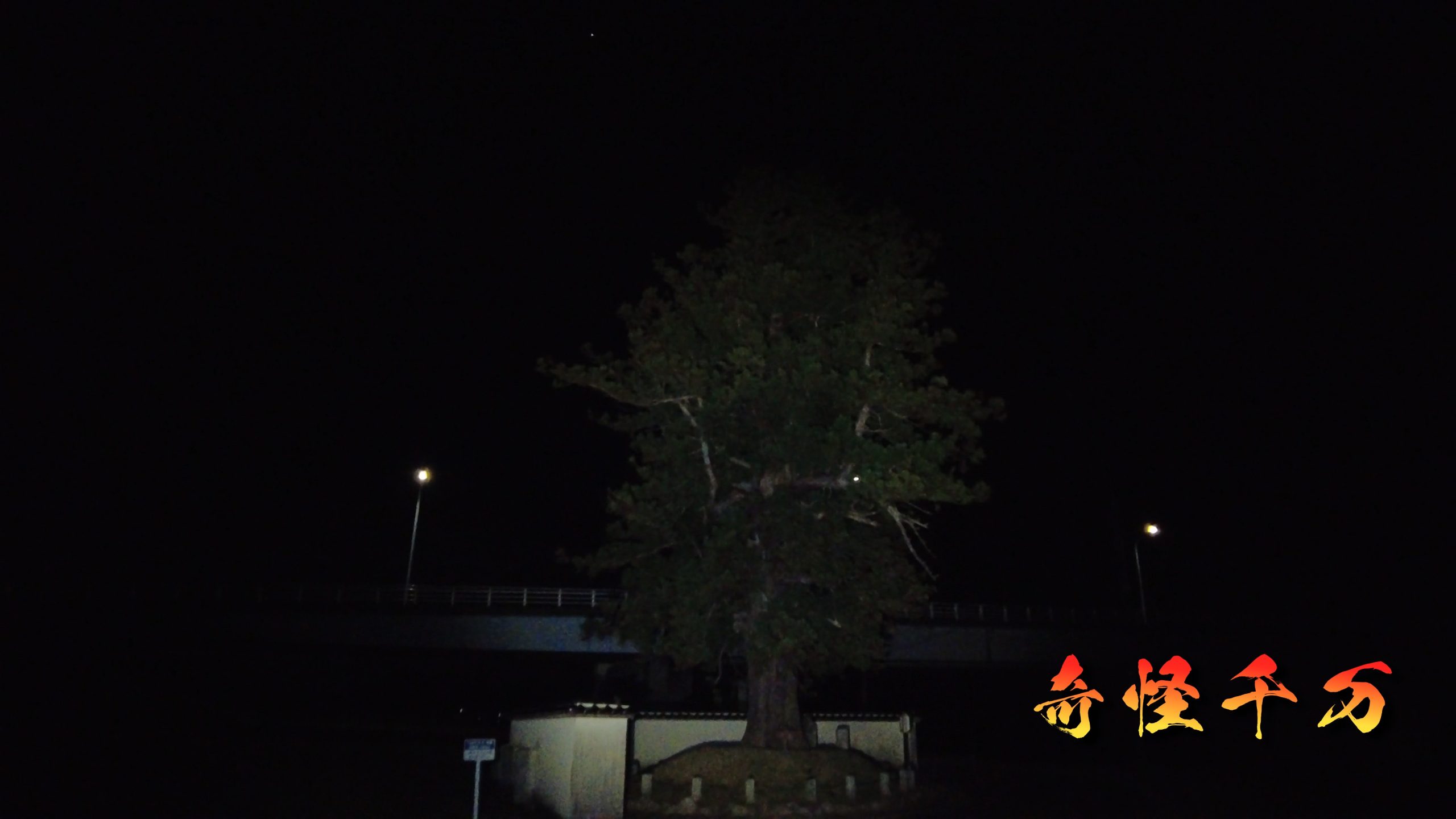 SnapShot(324).jpg