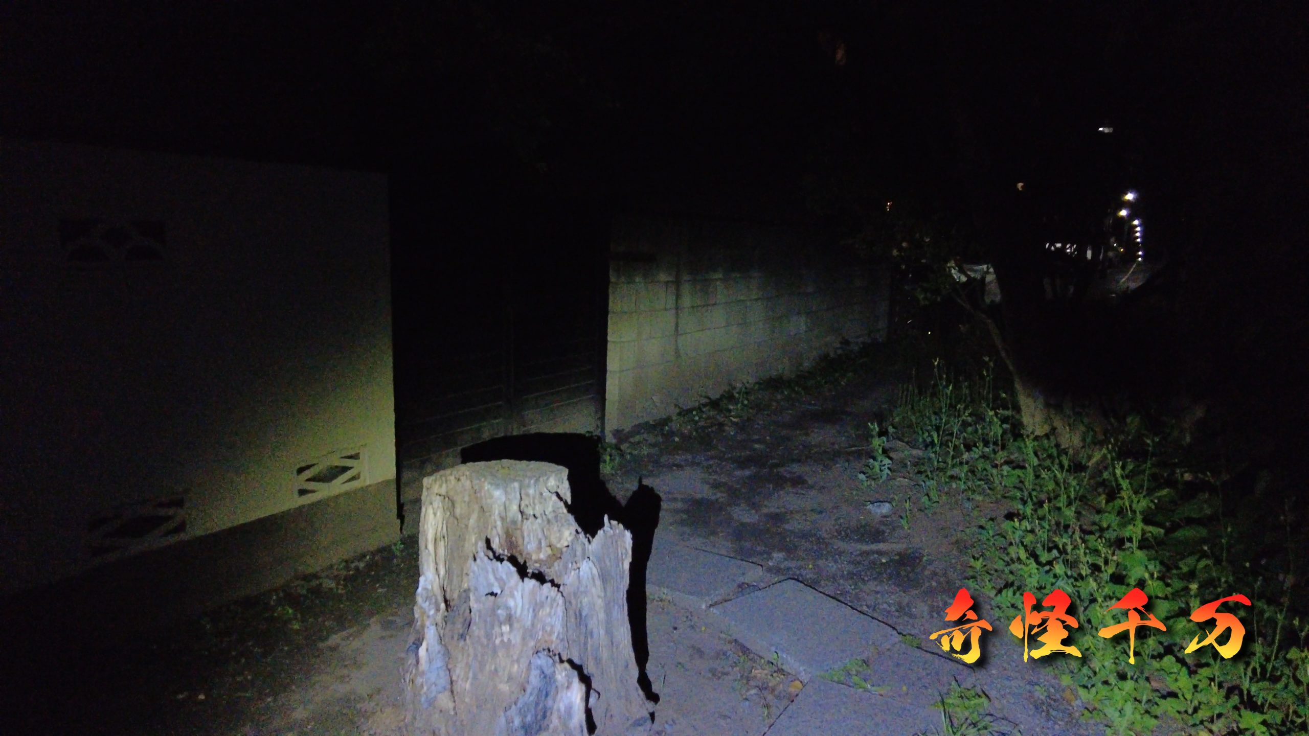 4. 現地検証 現地写真