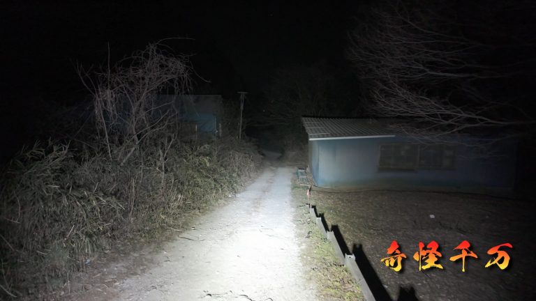 老婆坂(粟野の森) 現地写真 339