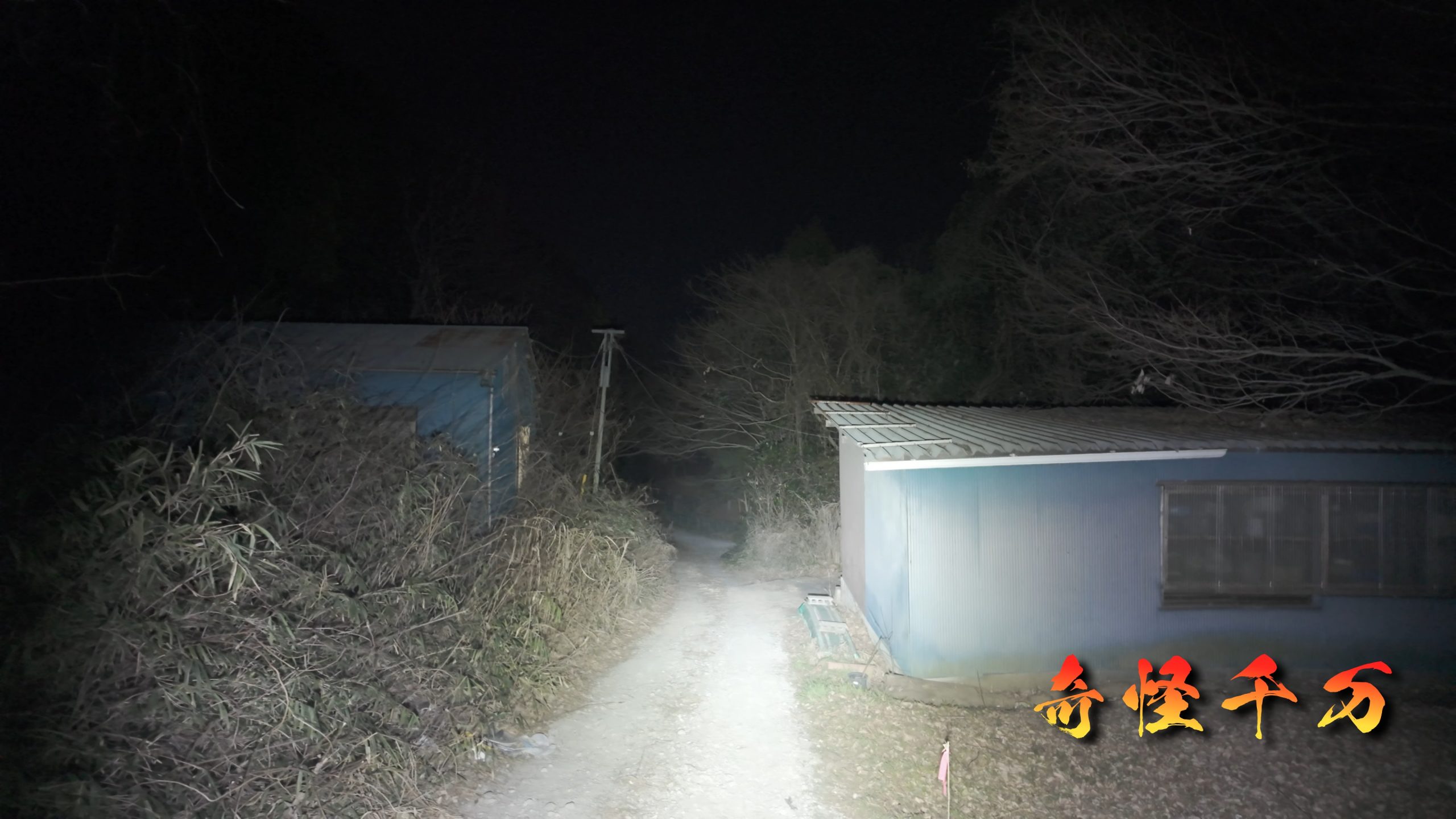 1. 導入 現地写真