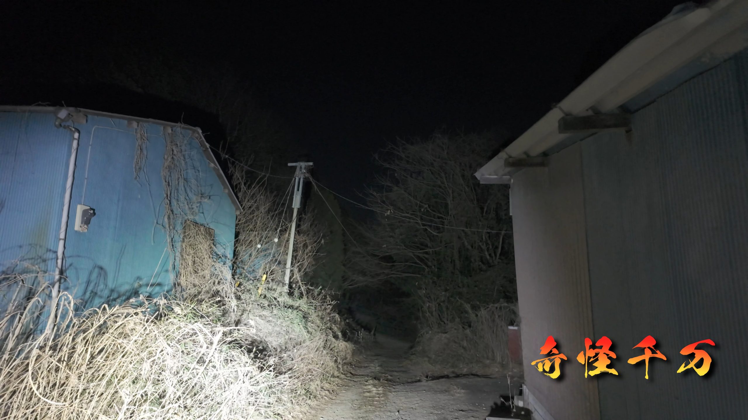 1. 導入 現地写真