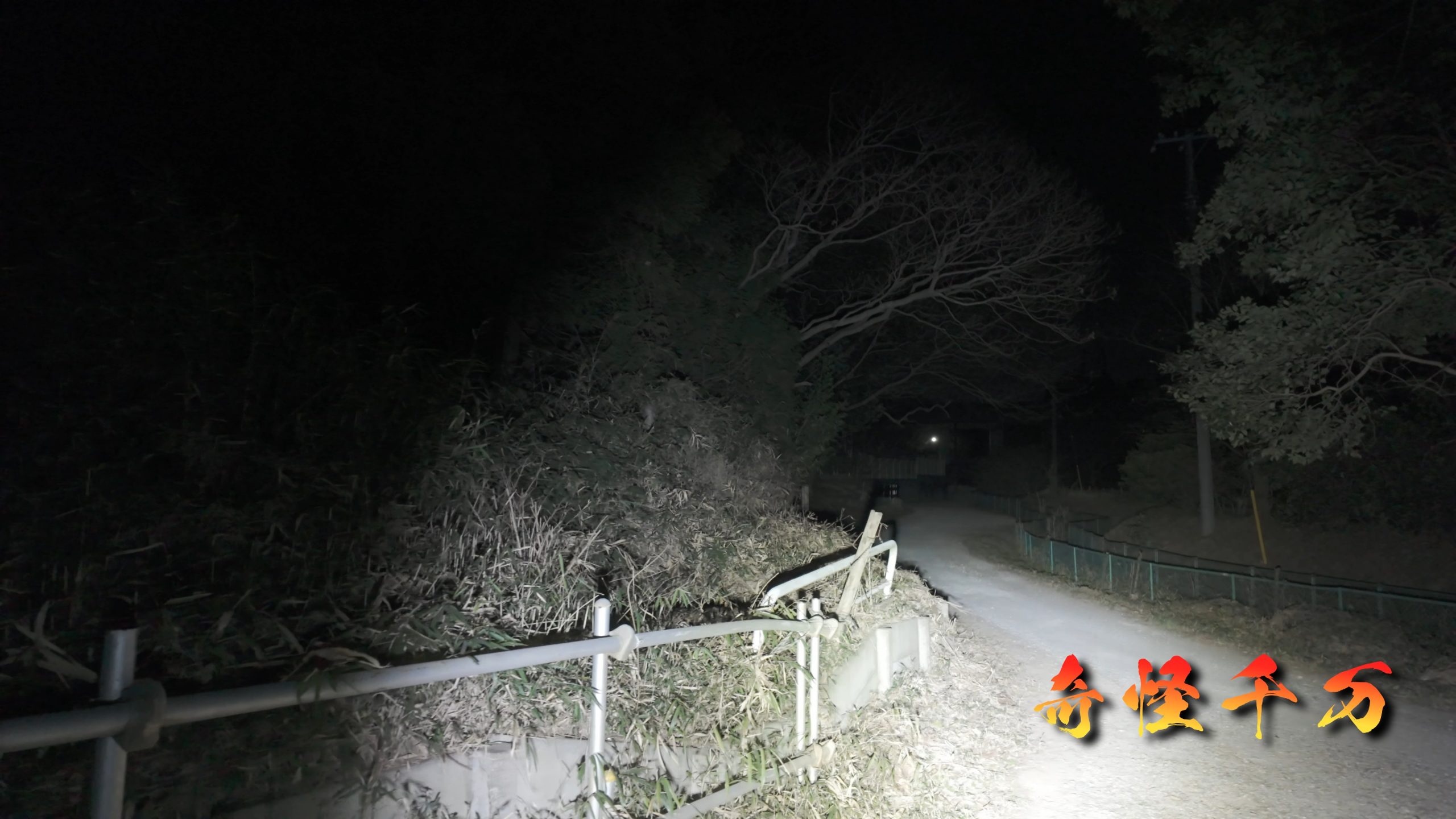 4. 現地検証 現地写真