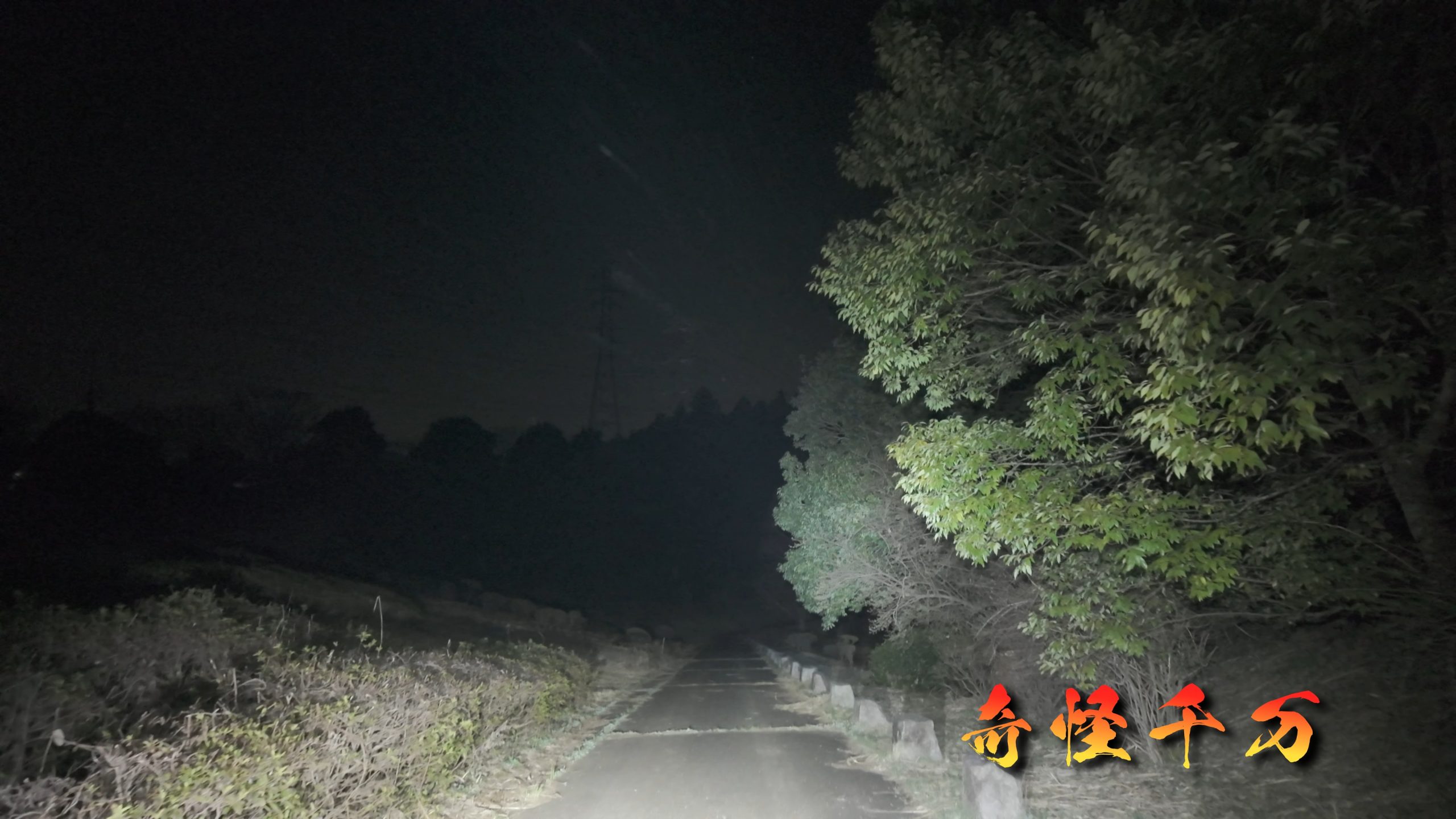 1. 導入 現地写真