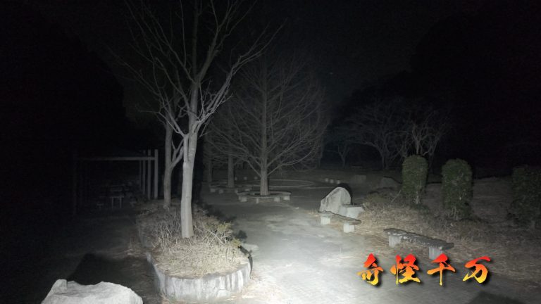 牛久の廃公園(中の島) 現地写真 357