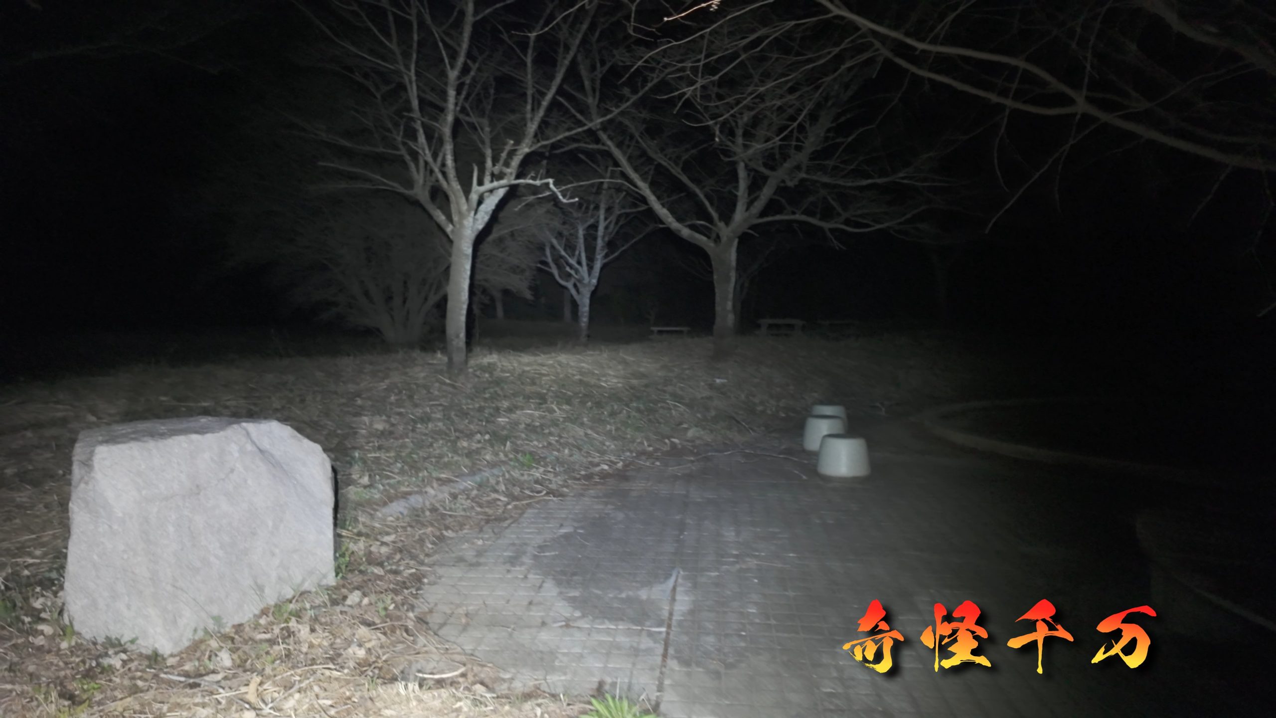 4. 現地検証 現地写真